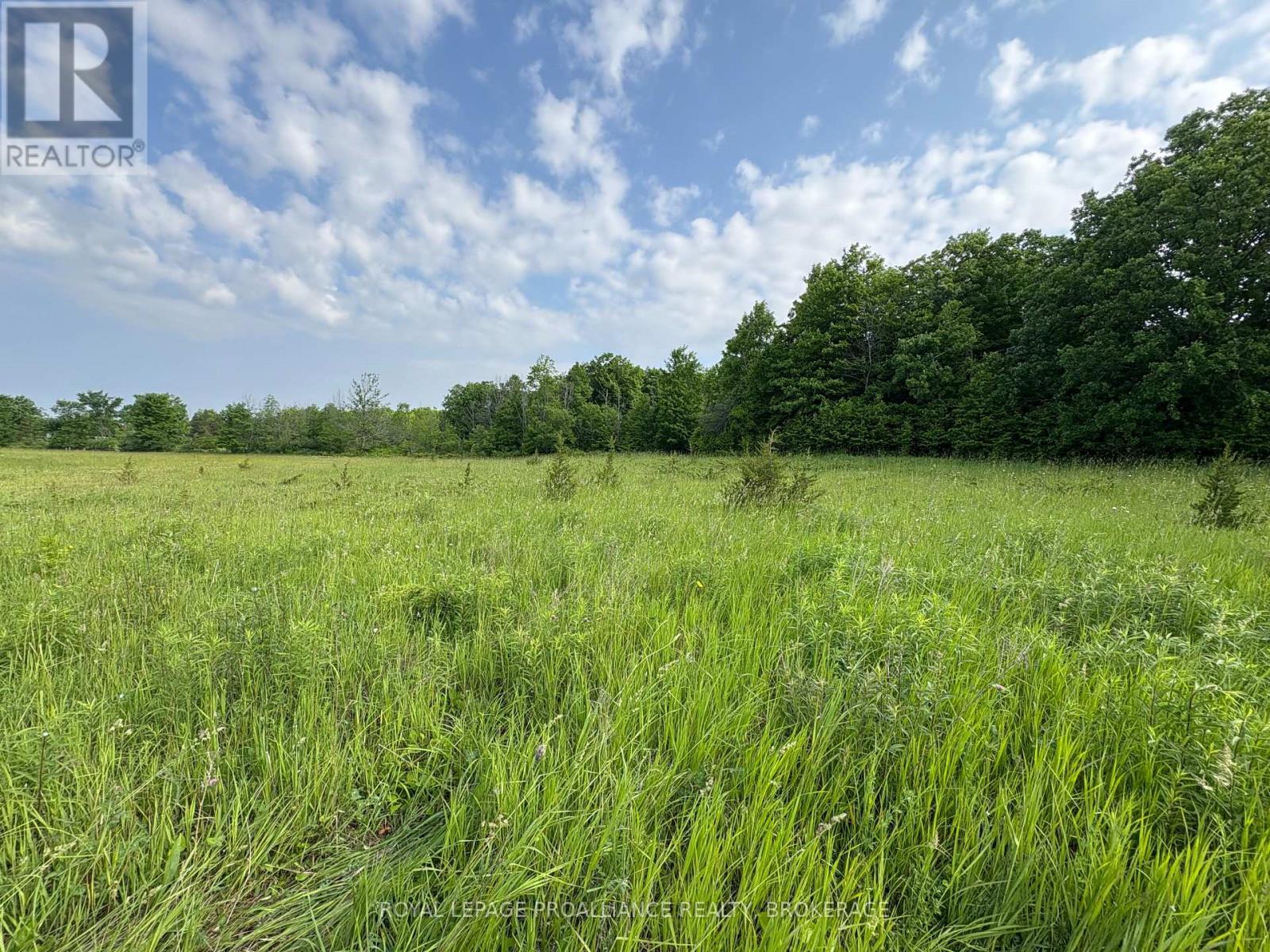 Lot 3 Jamieson Road, Frontenac, Ontario  K0H 1V0 - Photo 18 - X12787794