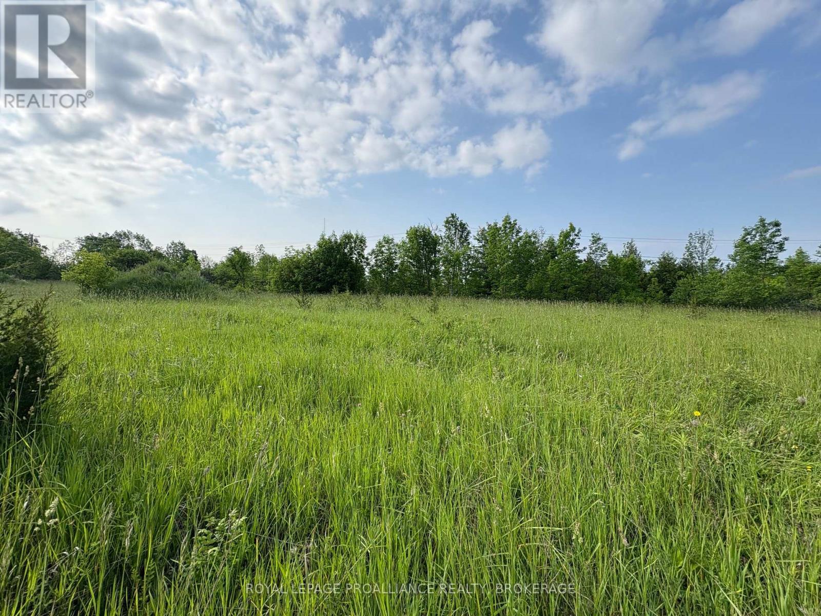 Lot 3 Jamieson Road, Frontenac, Ontario  K0H 1V0 - Photo 19 - X12787794