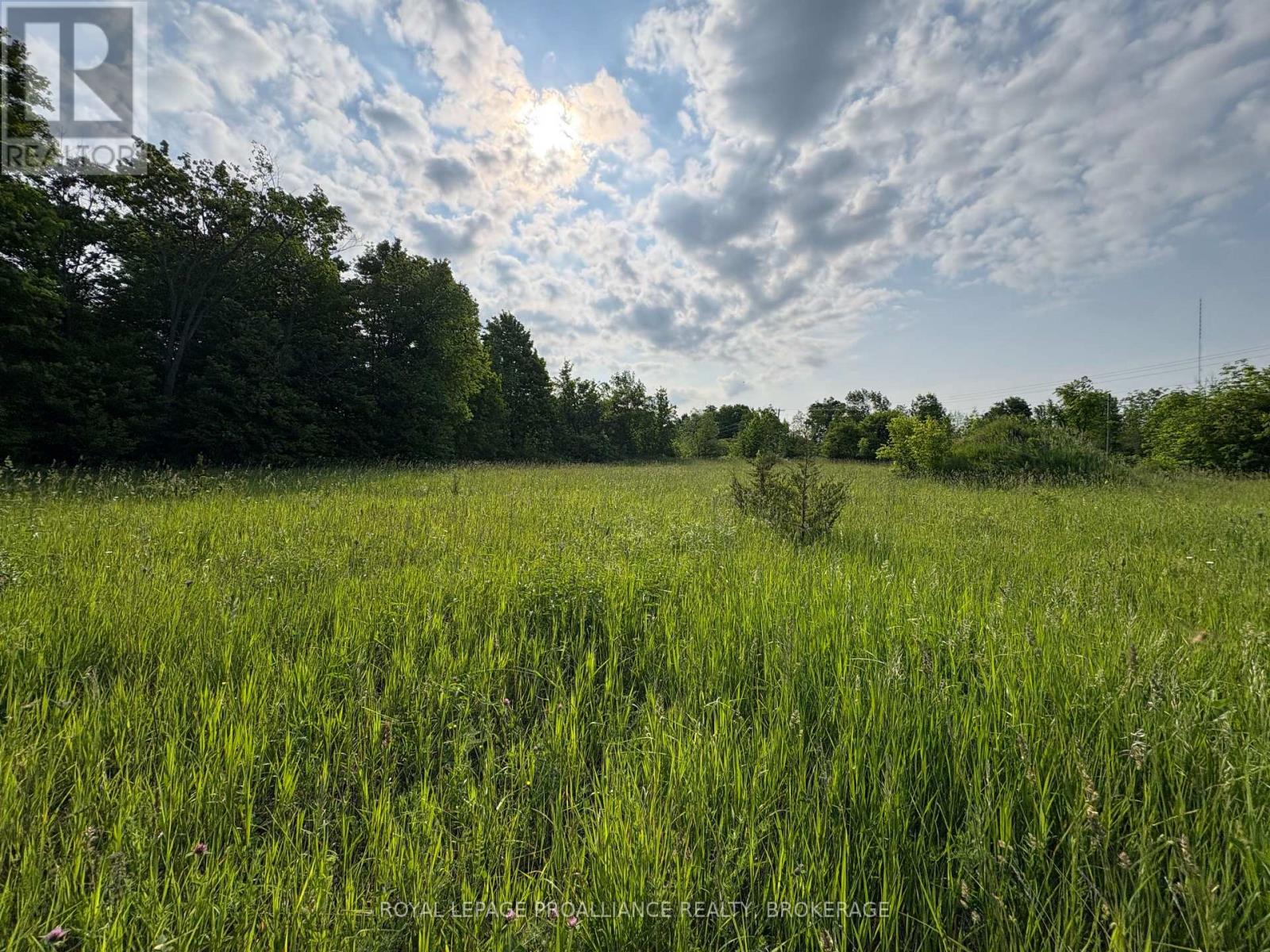 Lot 3 Jamieson Road, Frontenac, Ontario  K0H 1V0 - Photo 20 - X12787794