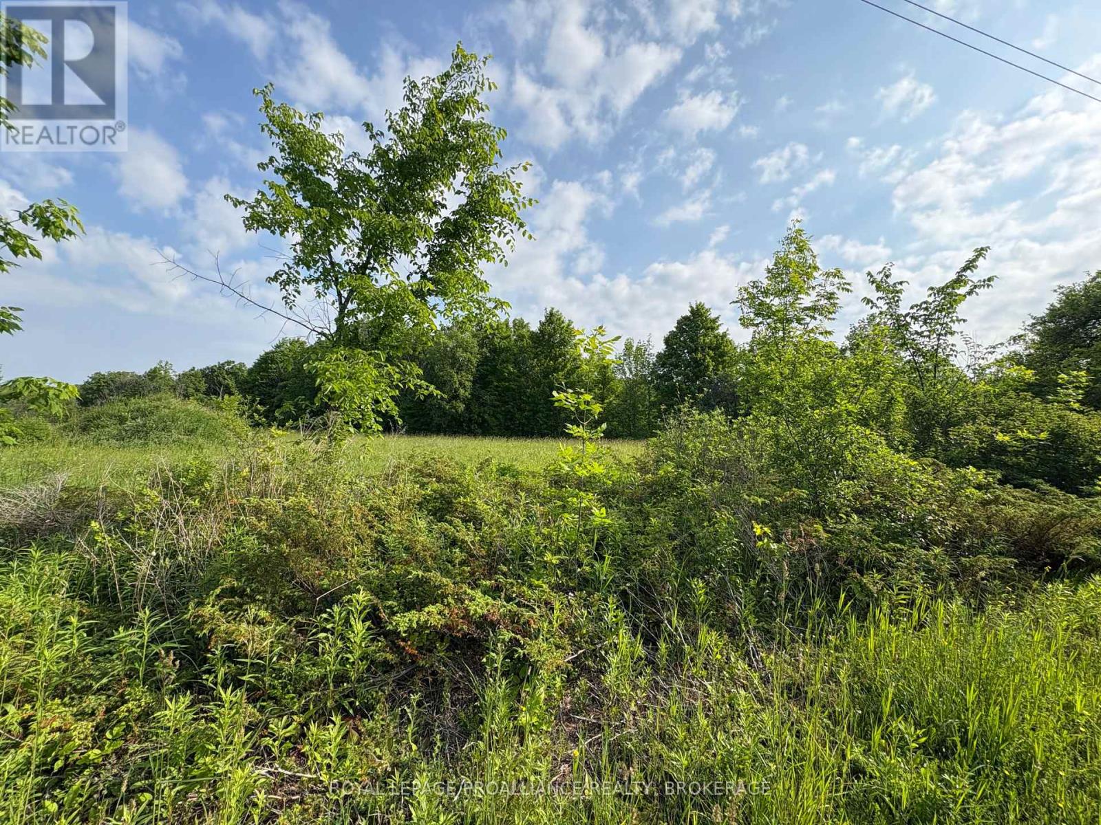 Lot 3 Jamieson Road, Frontenac, Ontario  K0H 1V0 - Photo 24 - X12787794