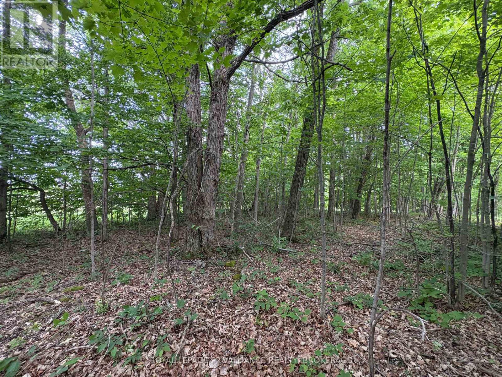 Lot 3 Jamieson Road, Frontenac, Ontario  K0H 1V0 - Photo 4 - X12787794