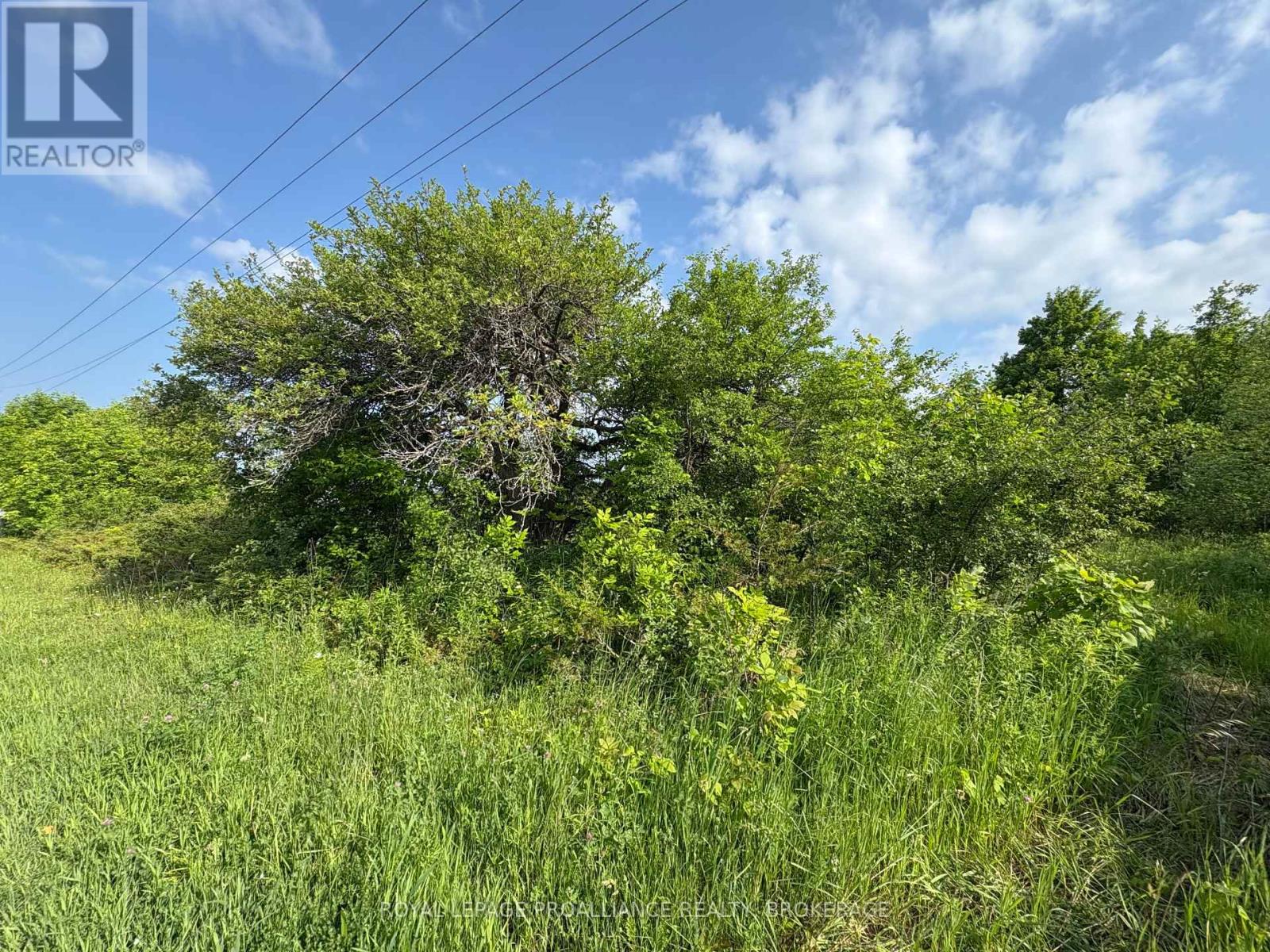 Lot 3 Jamieson Road, Frontenac, Ontario  K0H 1V0 - Photo 22 - X12787794