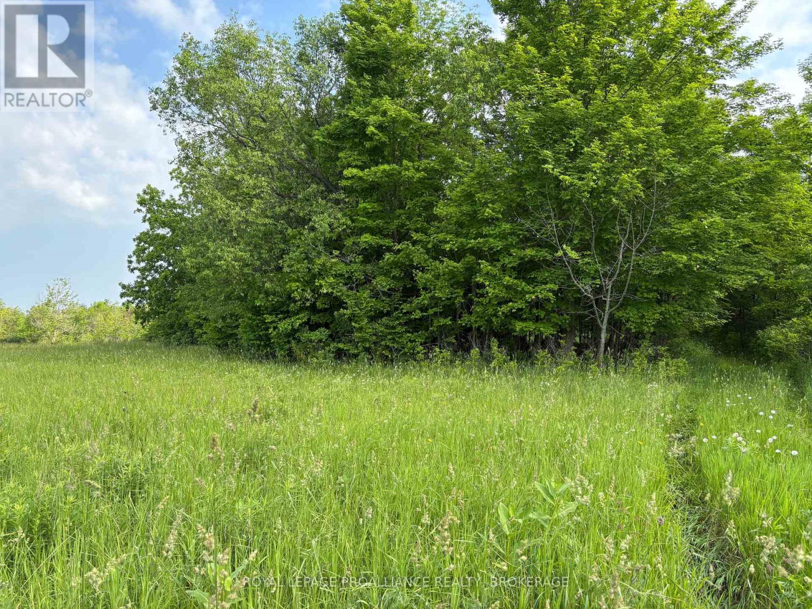 Lot 3 Jamieson Road, Frontenac, Ontario  K0H 1V0 - Photo 14 - X12787794