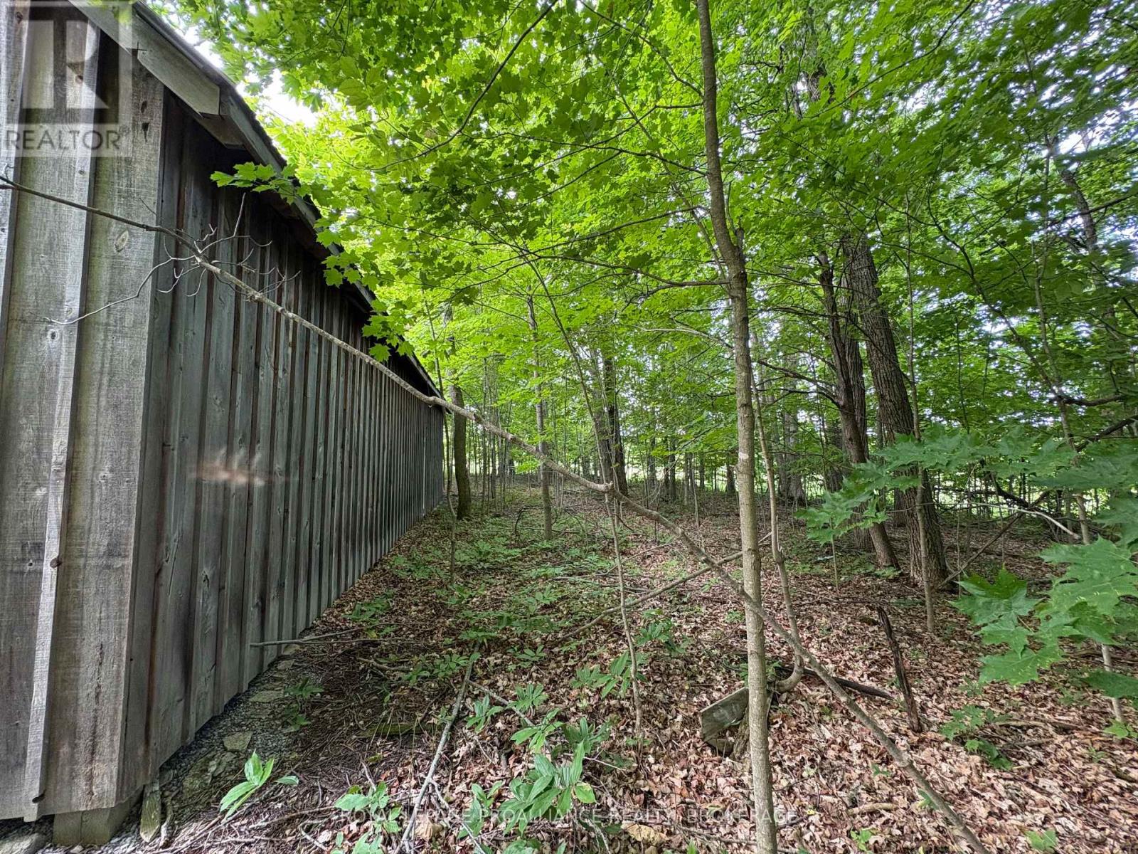 Lot 3 Jamieson Road, Frontenac, Ontario  K0H 1V0 - Photo 7 - X12787794