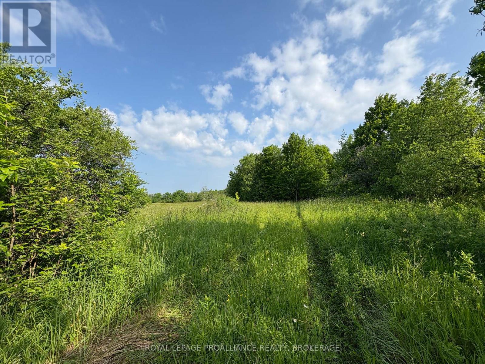 Lot 3 Jamieson Road, Frontenac, Ontario  K0H 1V0 - Photo 21 - X12787794