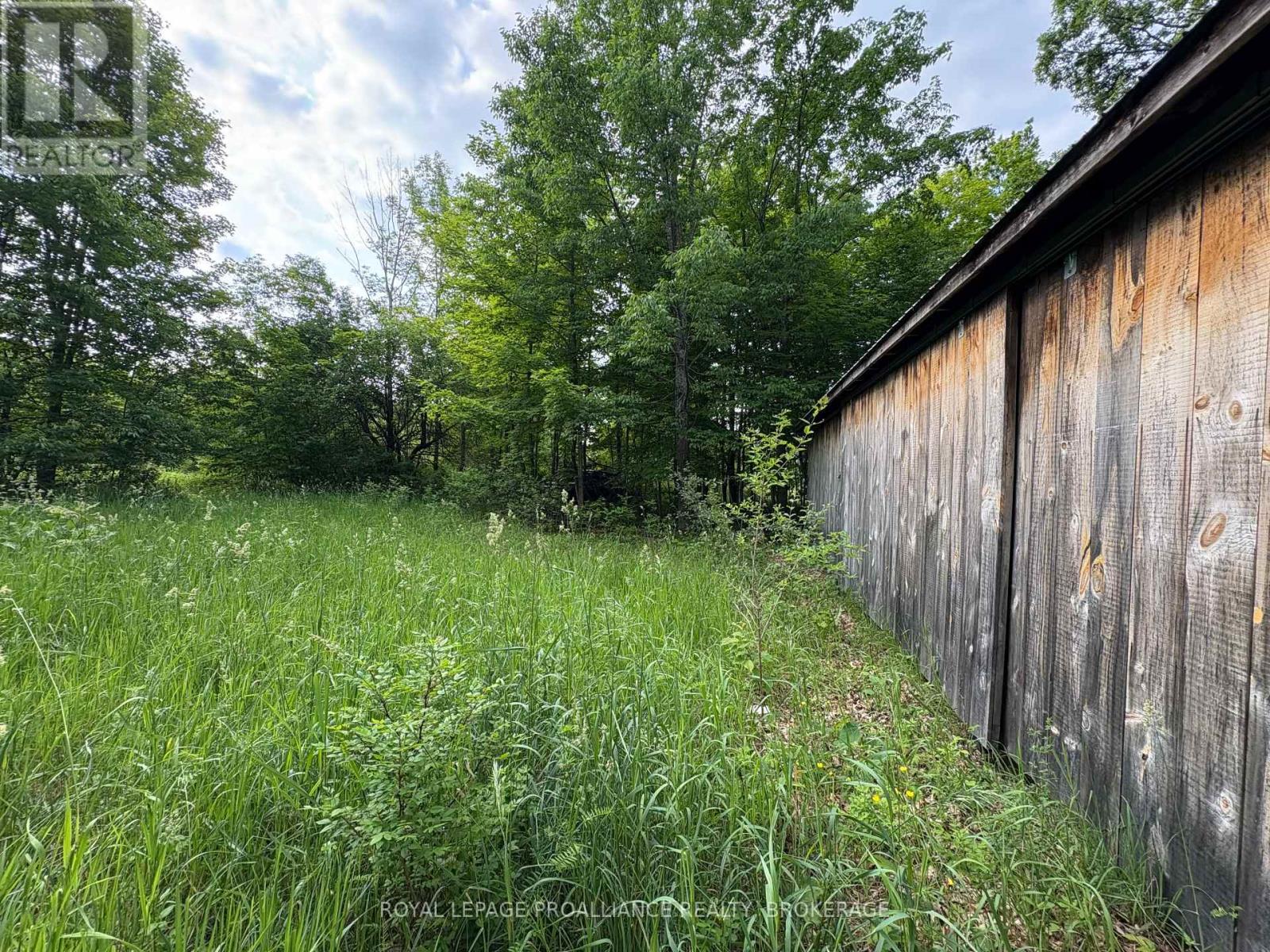 Lot 3 Jamieson Road, Frontenac, Ontario  K0H 1V0 - Photo 9 - X12787794