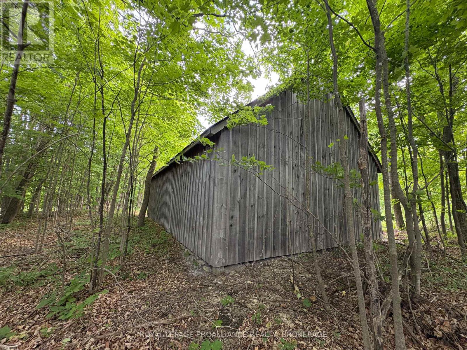 Lot 3 Jamieson Road, Frontenac, Ontario  K0H 1V0 - Photo 3 - X12787794