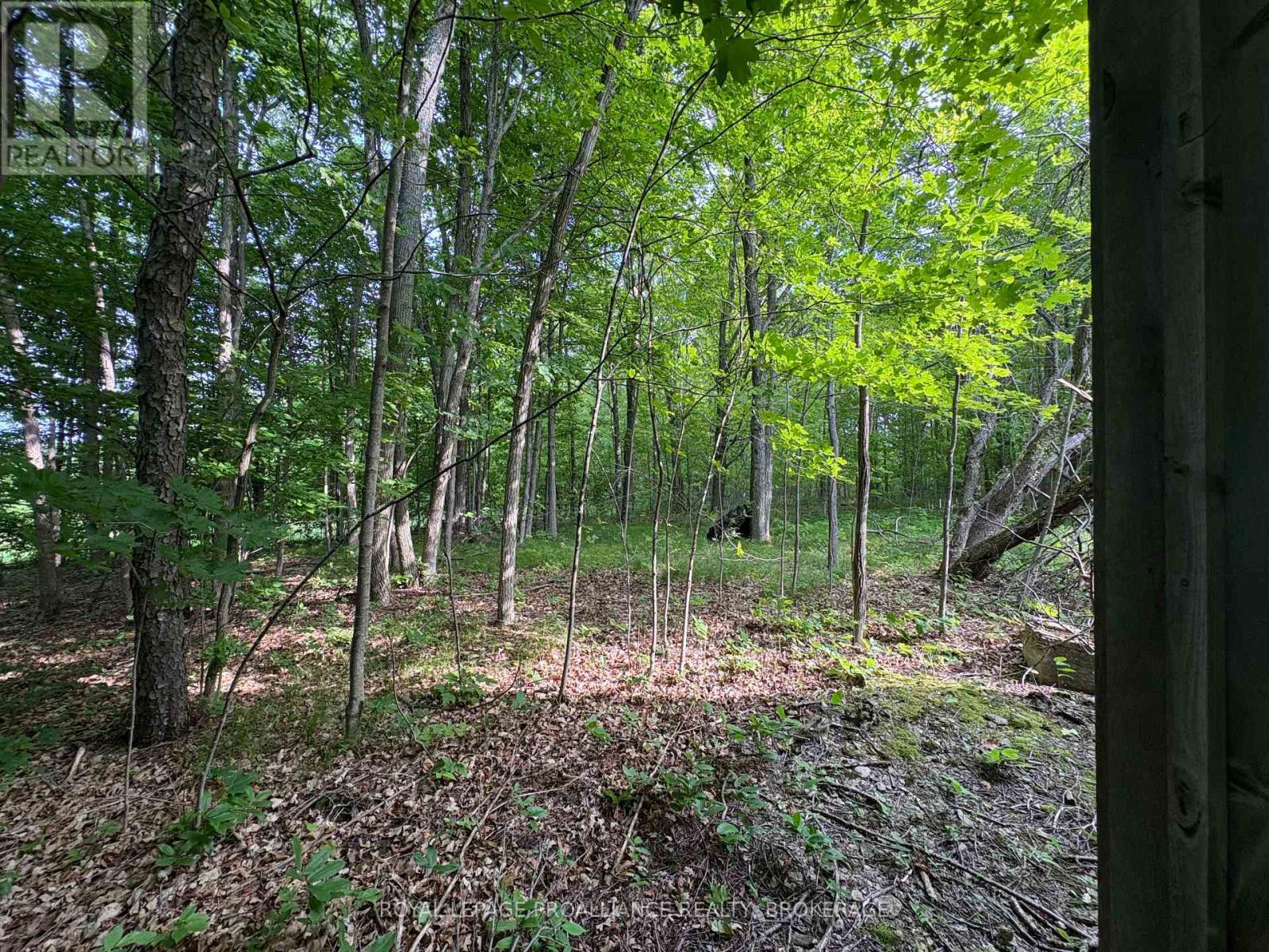 Lot 3 Jamieson Road, Frontenac, Ontario  K0H 1V0 - Photo 5 - X12787794