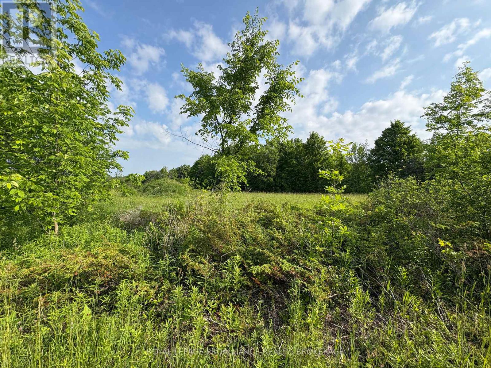 Lot 3 Jamieson Road, Frontenac, Ontario  K0H 1V0 - Photo 23 - X12787794
