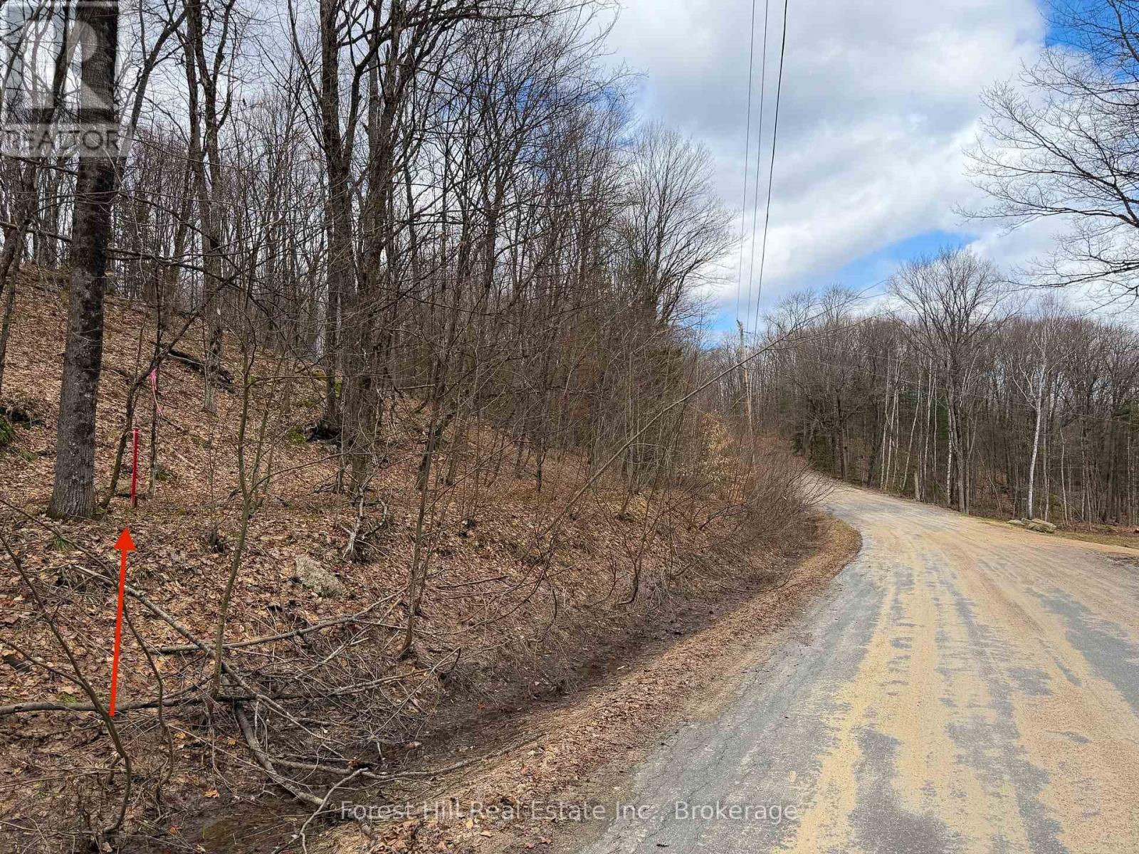 1249 BLACK RIVER ROAD, Bracebridge, Ontario