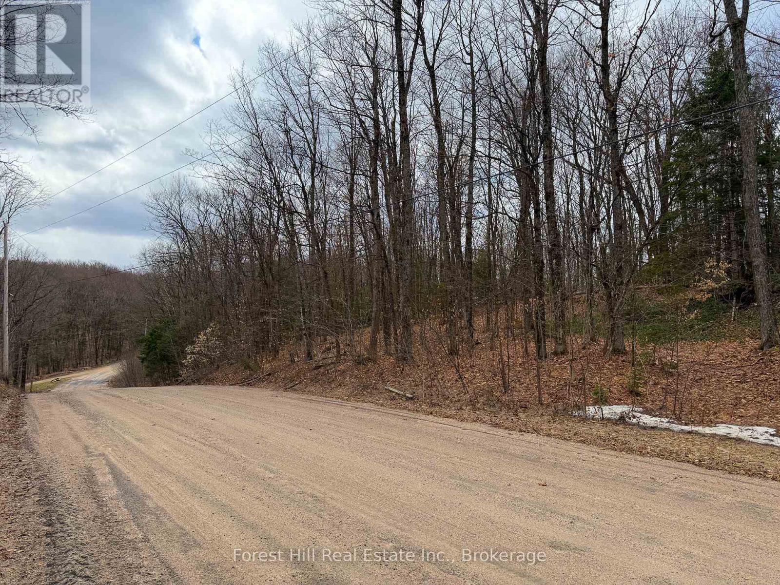 1249 Black River Road, Bracebridge, Ontario  P1L 1X1 - Photo 10 - X13019754