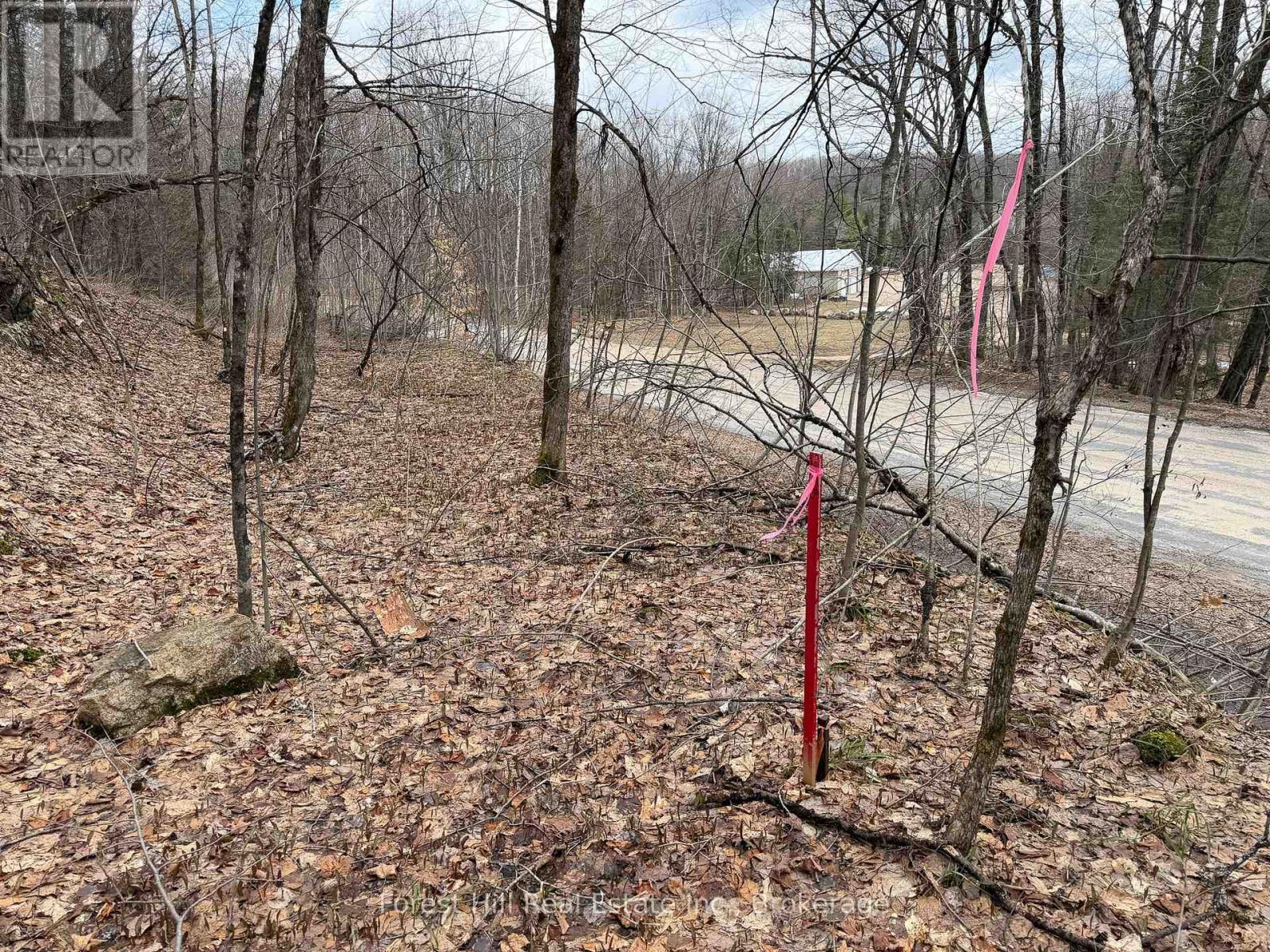 1249 Black River Road, Bracebridge, Ontario  P1L 1X1 - Photo 2 - X13019754