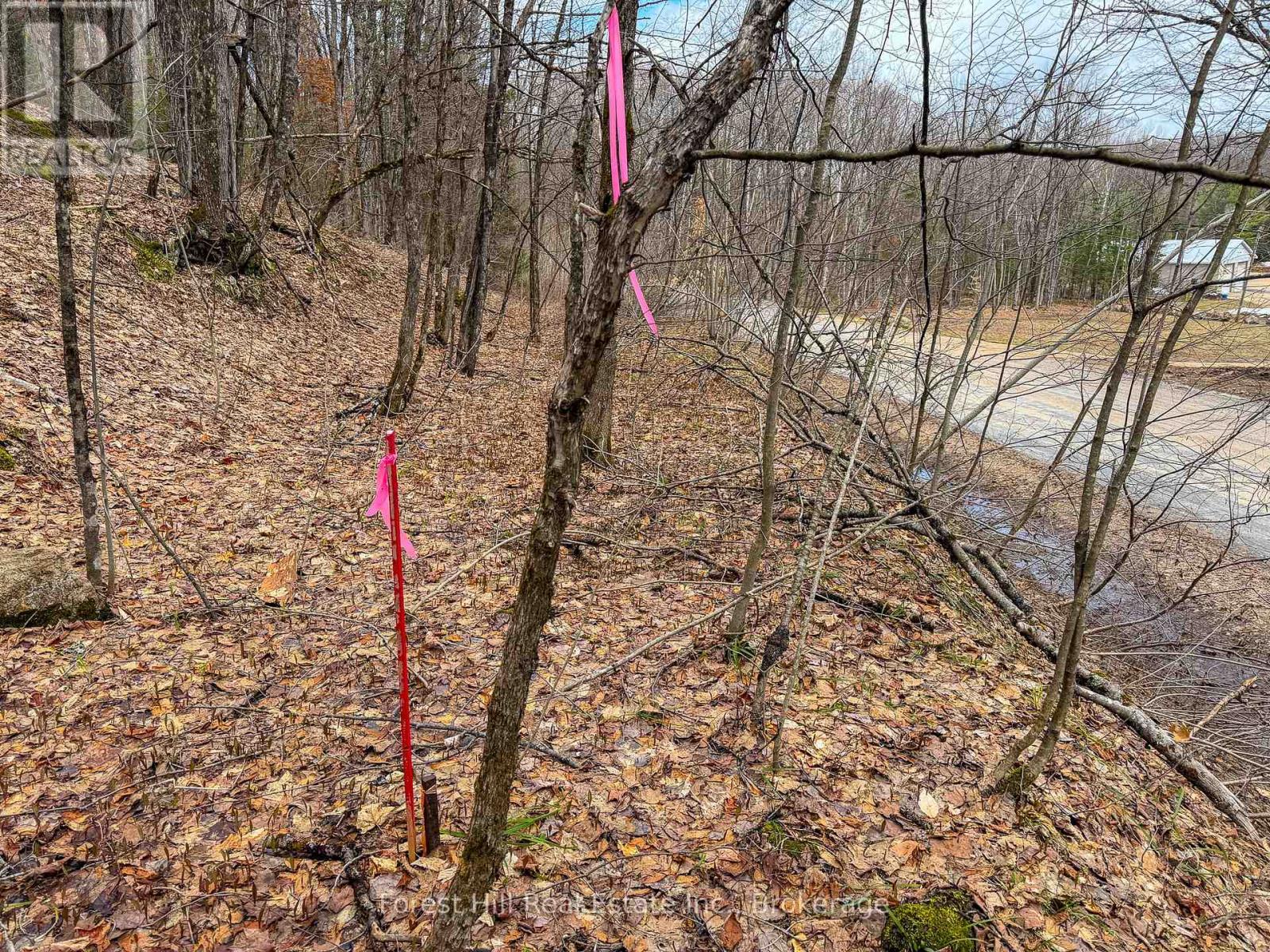 1249 Black River Road, Bracebridge, Ontario  P1L 1X1 - Photo 3 - X13019754