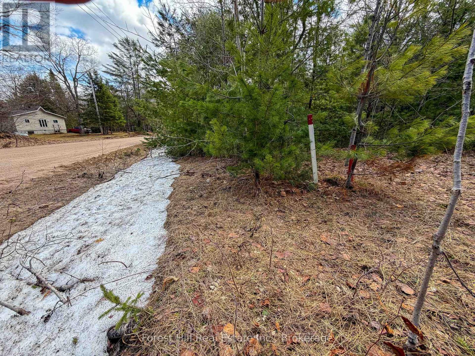 1249 Black River Road, Bracebridge, Ontario  P1L 1X1 - Photo 6 - X13019754