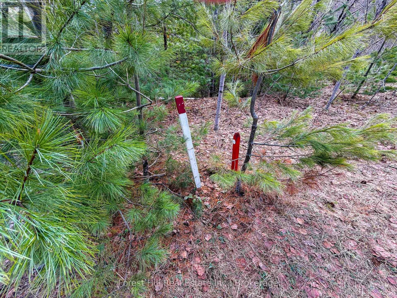 1249 Black River Road, Bracebridge, Ontario  P1L 1X1 - Photo 7 - X13019754
