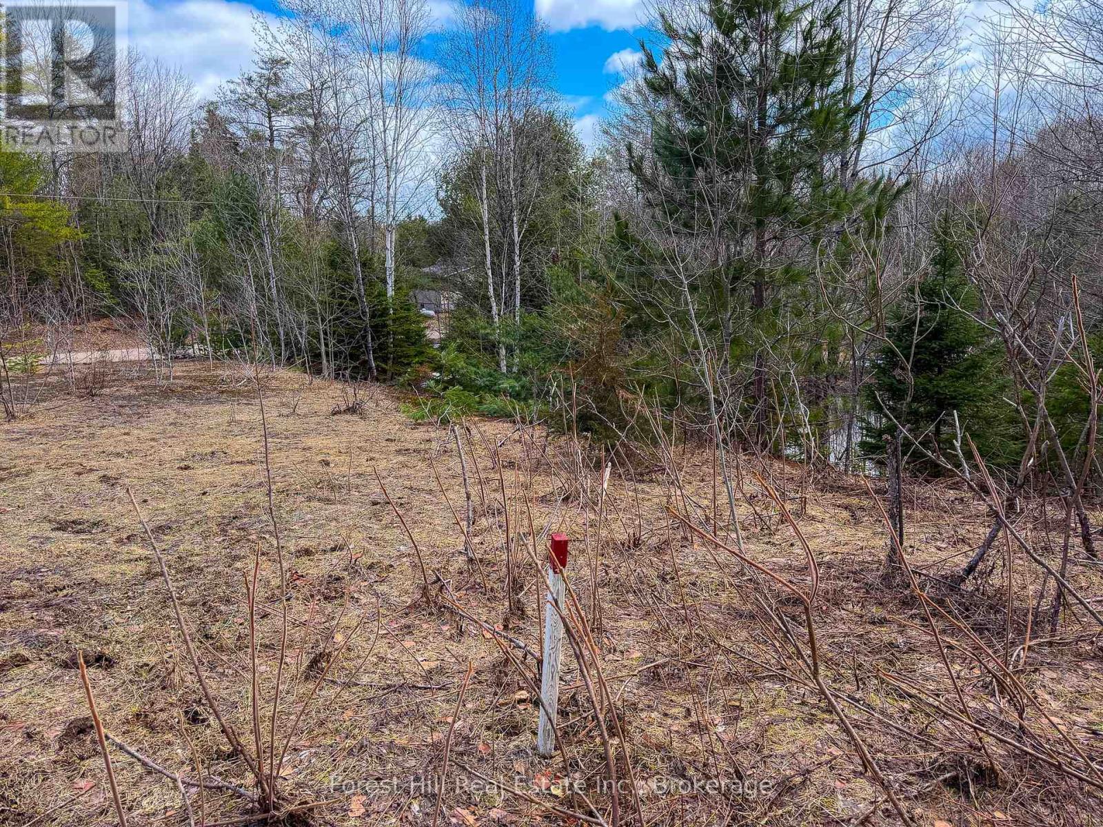 1249 Black River Road, Bracebridge, Ontario  P1L 1X1 - Photo 8 - X13019754