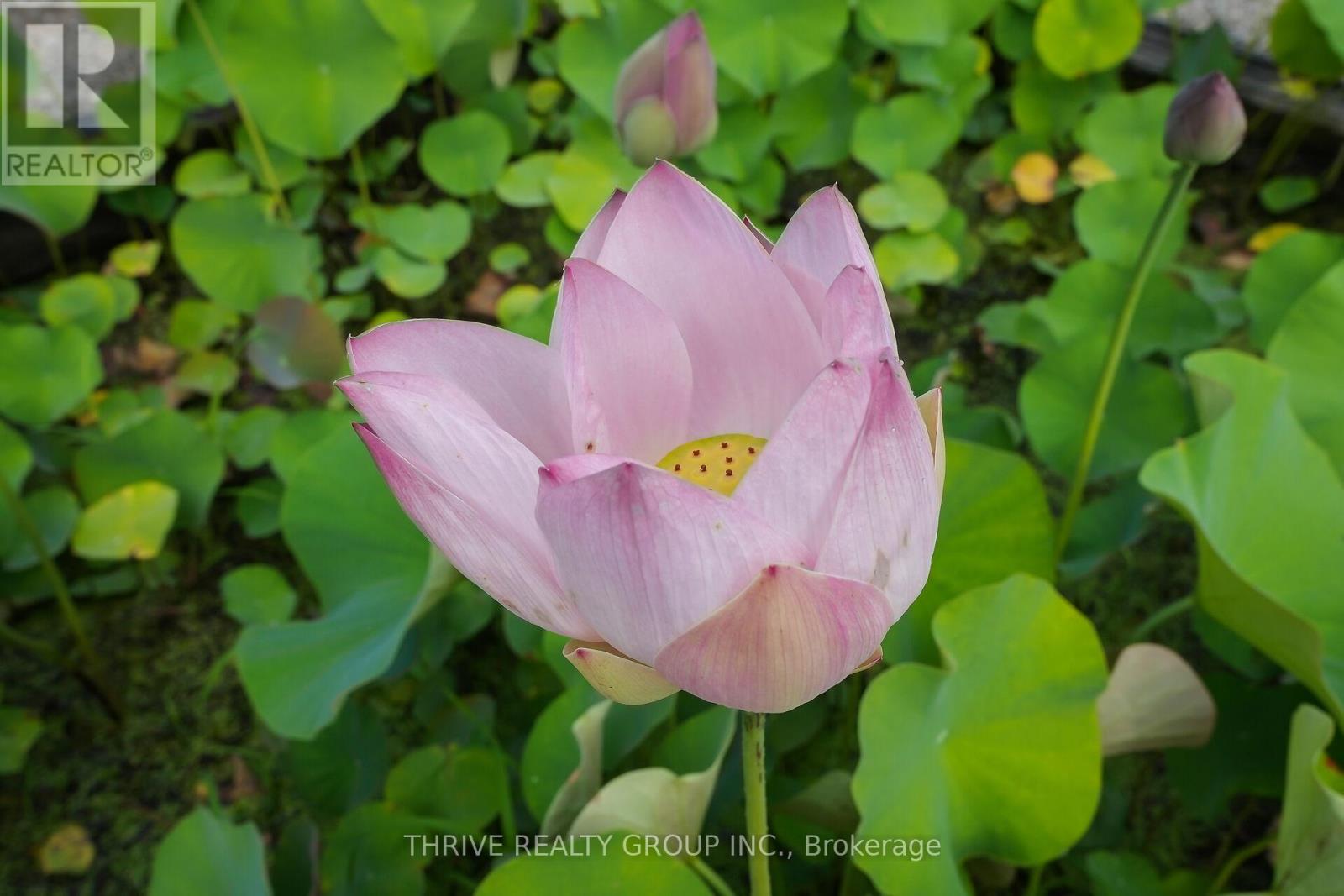 22049 Hyde Park Road, Middlesex Centre, Ontario  N0M 2A0 - Photo 20 - X12337930