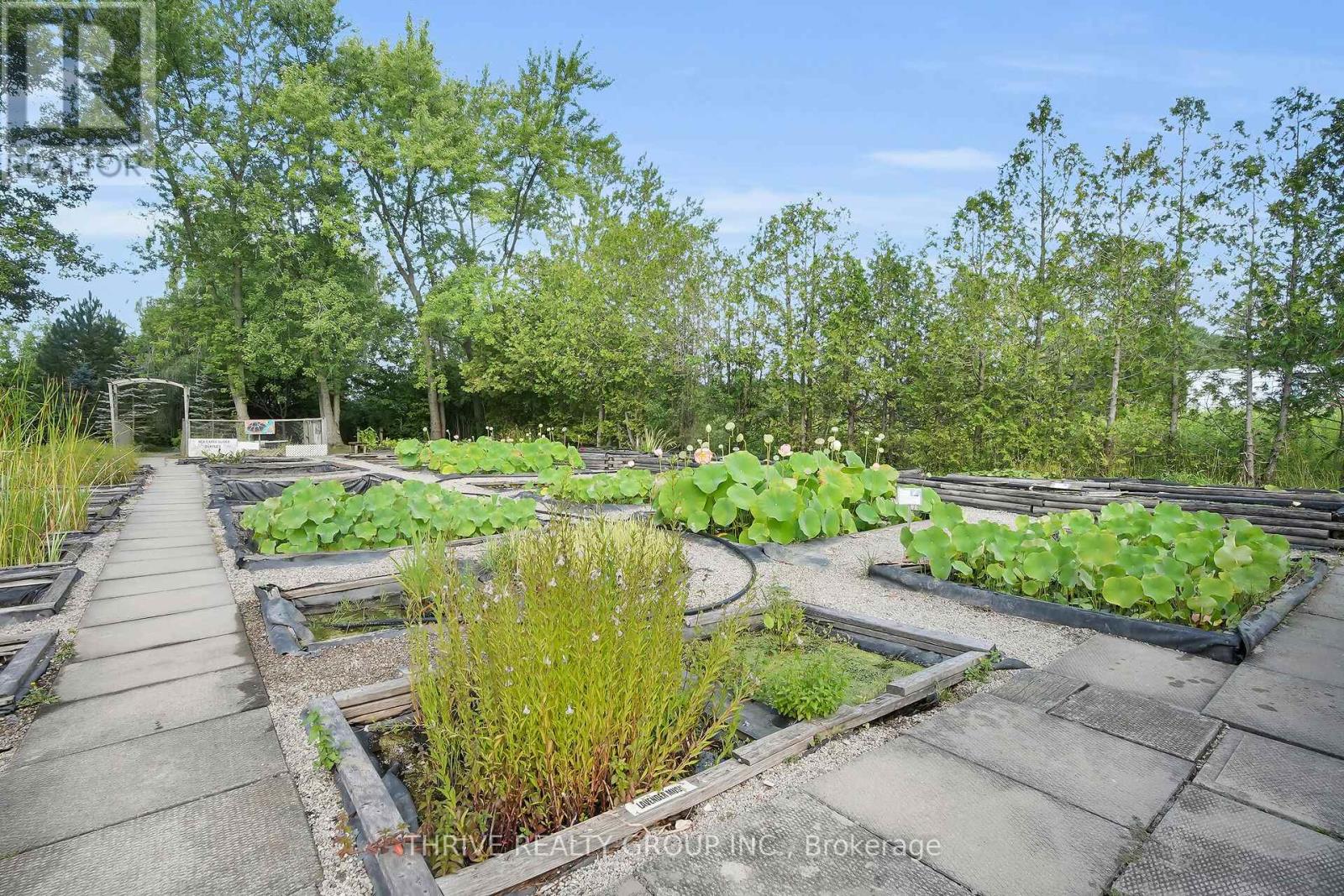 22049 Hyde Park Road, Middlesex Centre, Ontario  N0M 2A0 - Photo 7 - X12337930