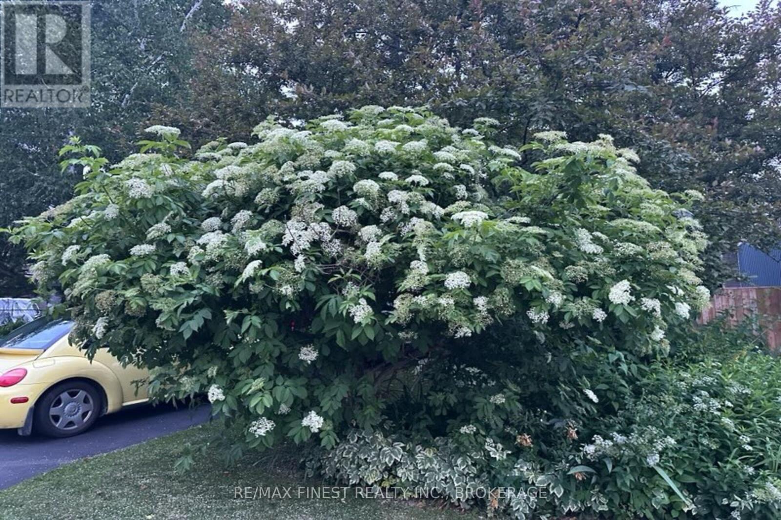 798 Danbury Road, Kingston, Ontario  K7M 6T4 - Photo 44 - X13019948