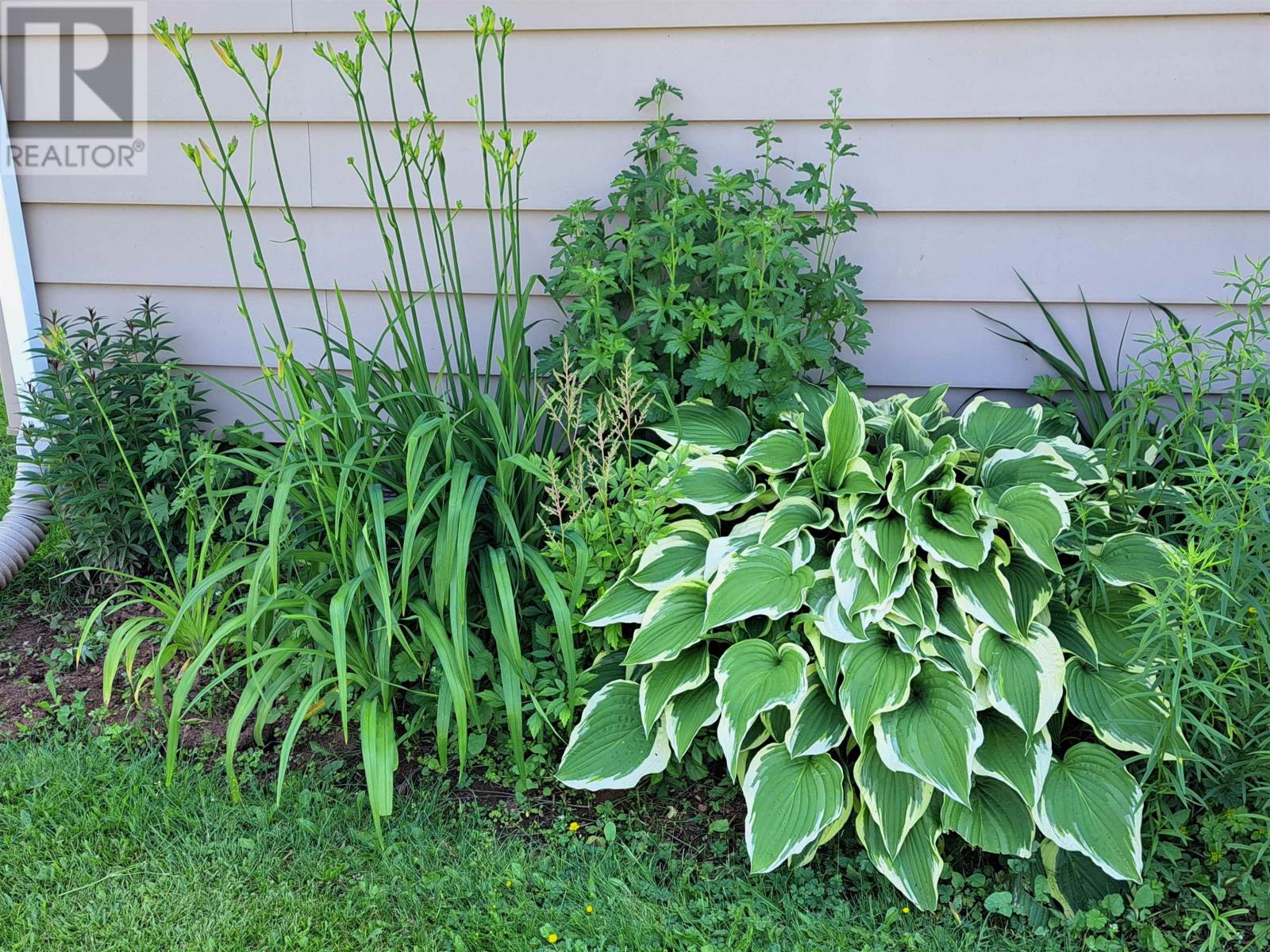 220 Clark Street, Summerside, Prince Edward Island  C1N 2J5 - Photo 5 - 202604139