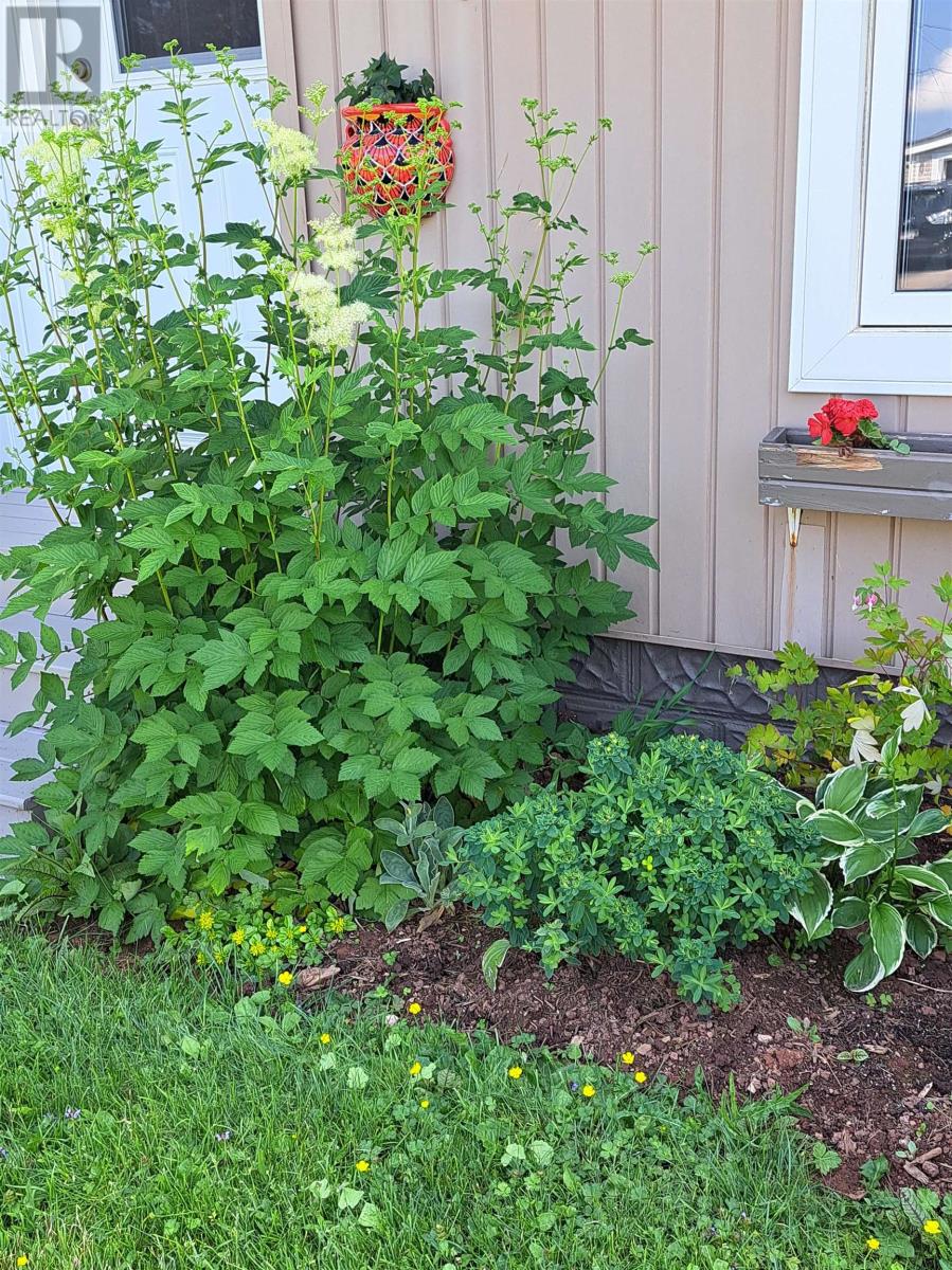 220 Clark Street, Summerside, Prince Edward Island  C1N 2J5 - Photo 6 - 202604139