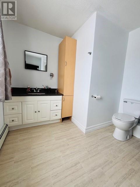 12 Winsors Lane, New Wes Valley, Newfoundland & Labrador  A0G 4R0 - Photo 17 - 1295838