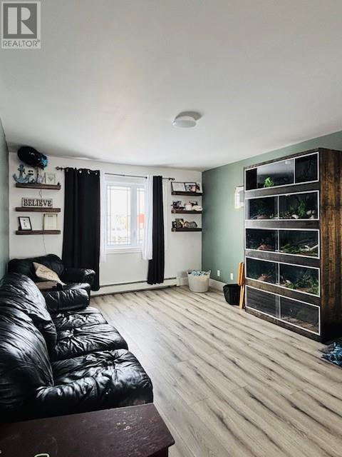 12 Winsors Lane, New Wes Valley, Newfoundland & Labrador  A0G 4R0 - Photo 7 - 1295838