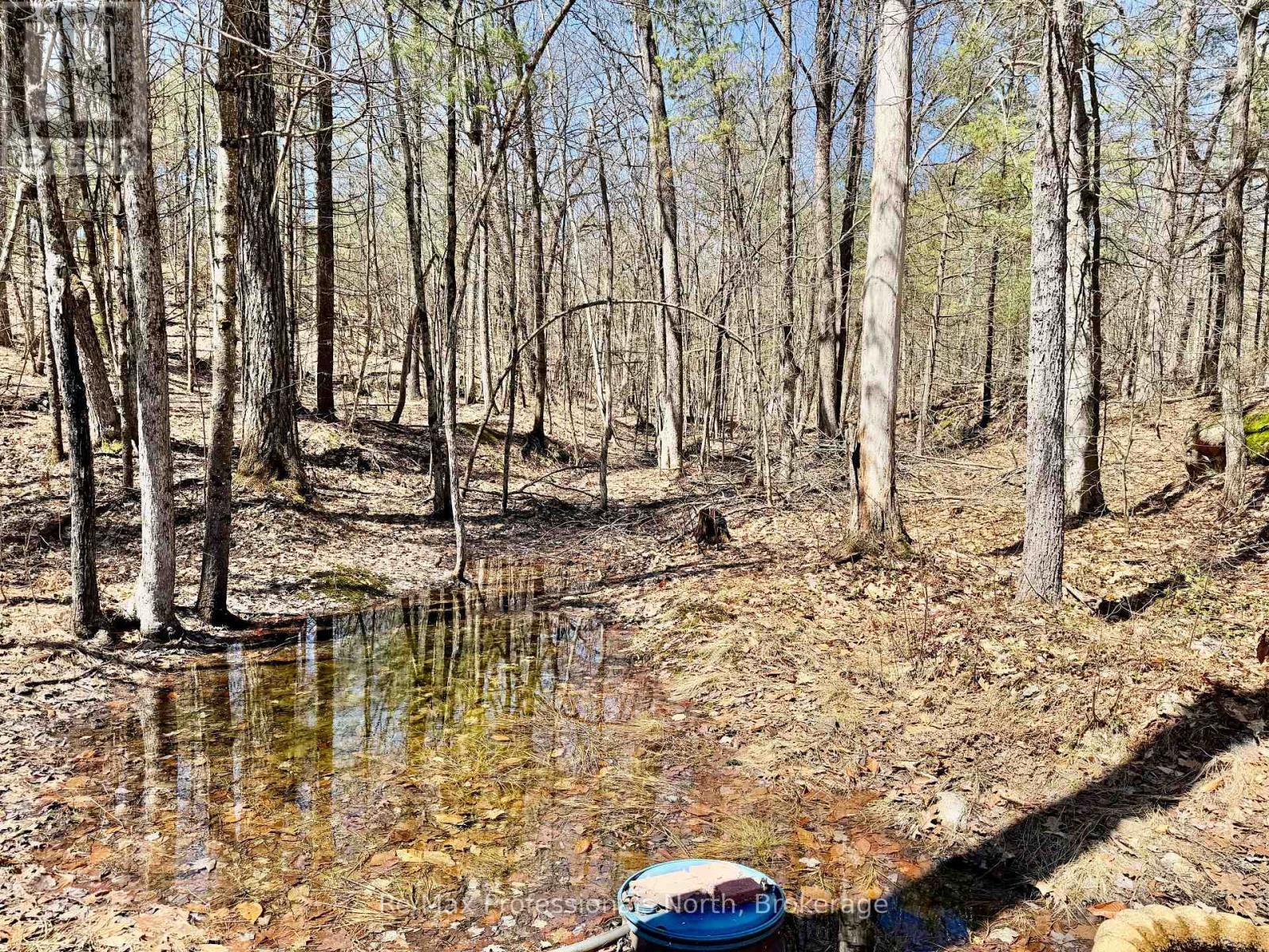 52 - 1007 Racoon Road, Gravenhurst, Ontario  P1P 0C3 - Photo 21 - X13019834