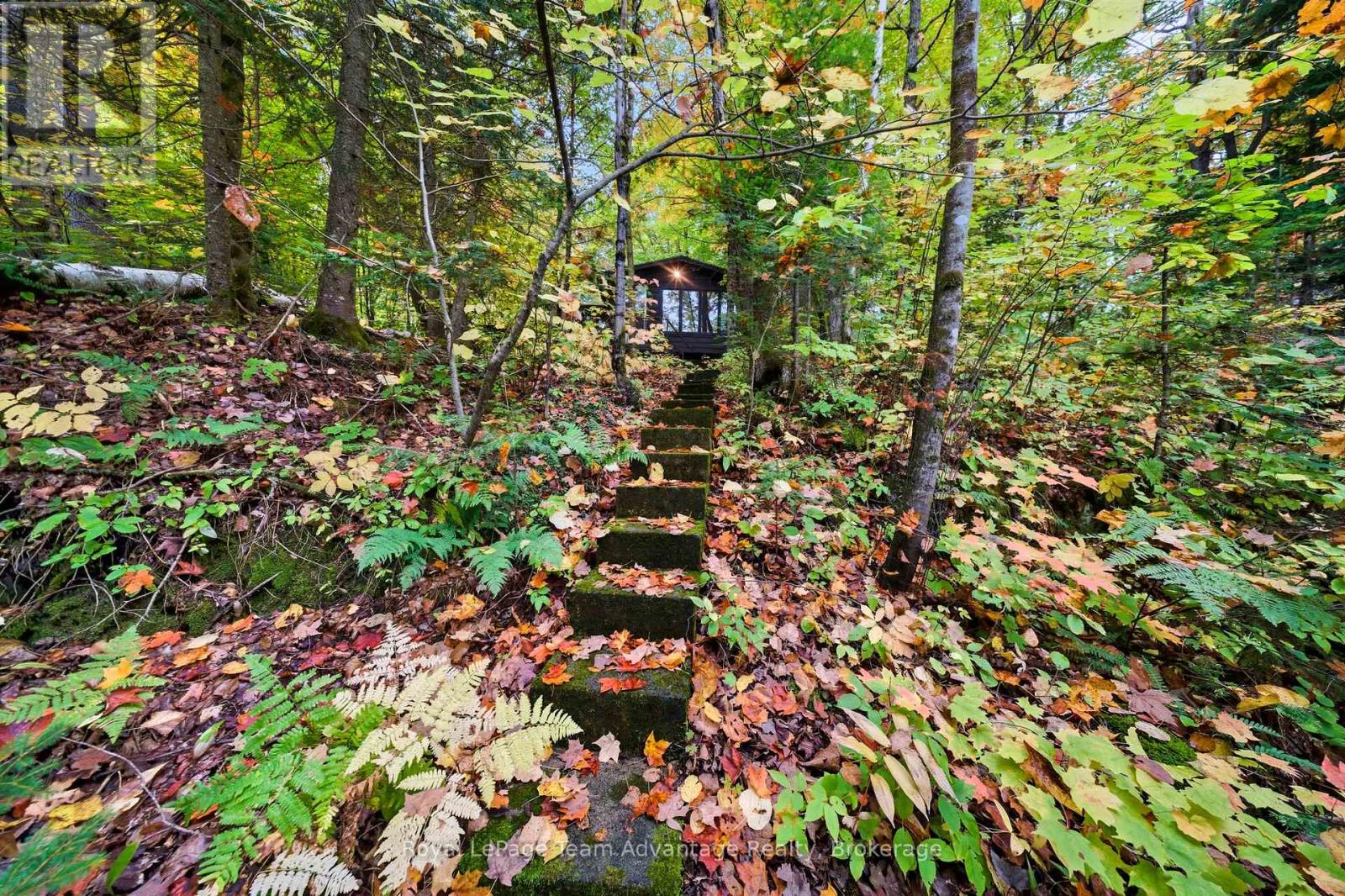 256 Dunchurch Estates Road, Whitestone, Ontario  P0A 1G0 - Photo 16 - X13020090