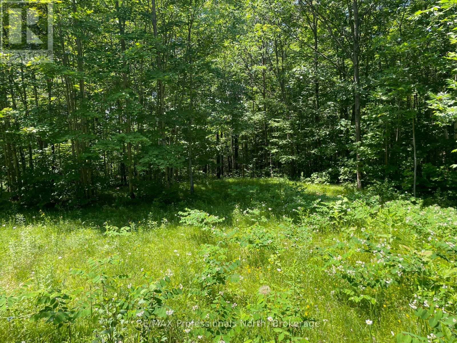 0 Glamor Lake Road, Highlands East, Ontario  K0M 1R0 - Photo 10 - X13020150