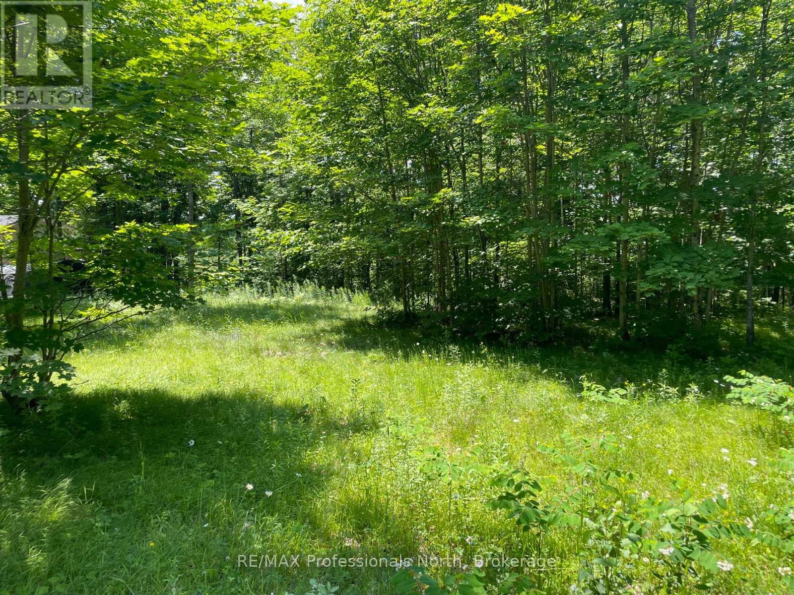 0 Glamor Lake Road, Highlands East, Ontario  K0M 1R0 - Photo 11 - X13020150