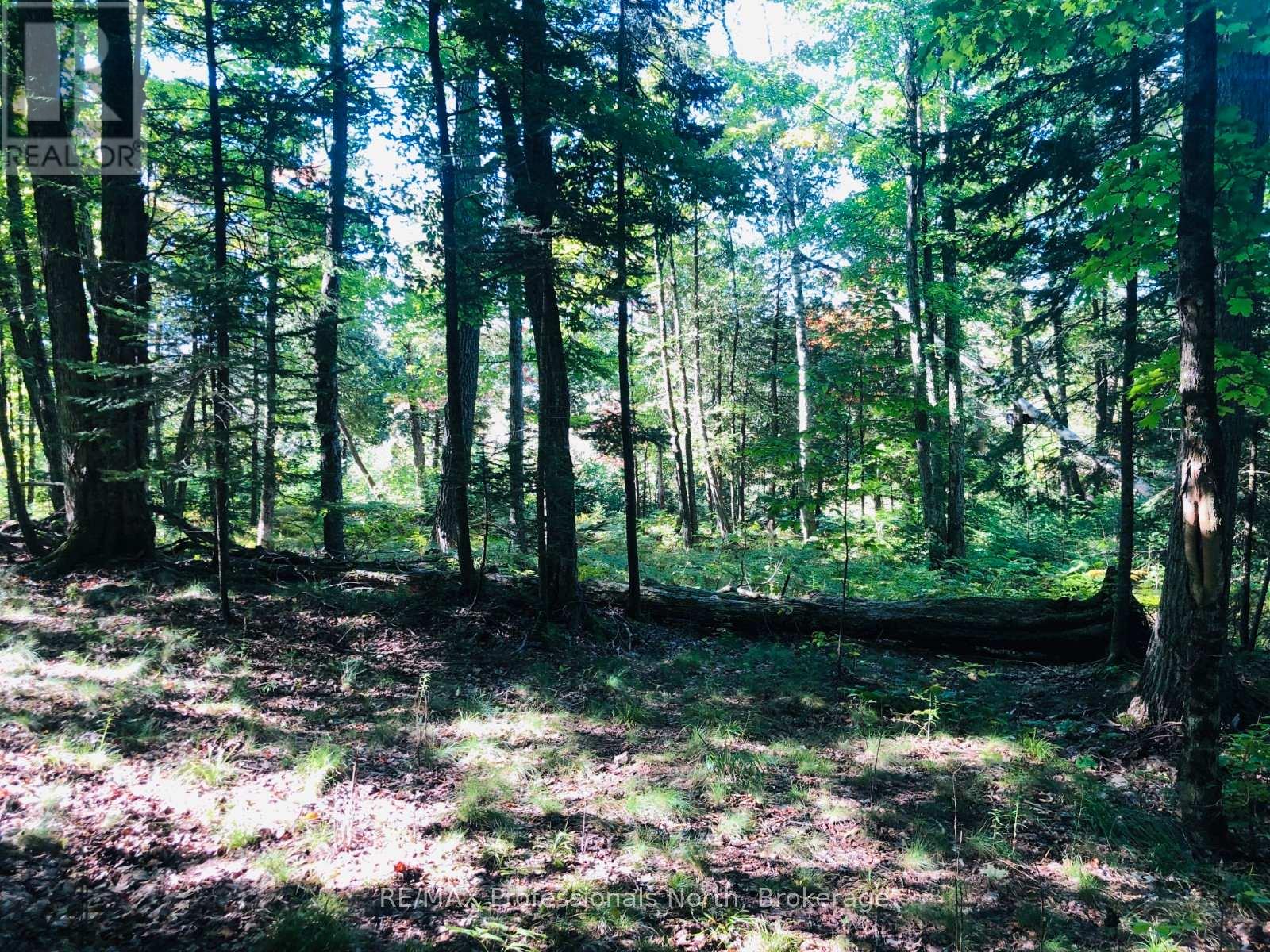 0 Glamor Lake Road, Highlands East, Ontario  K0M 1R0 - Photo 12 - X13020150