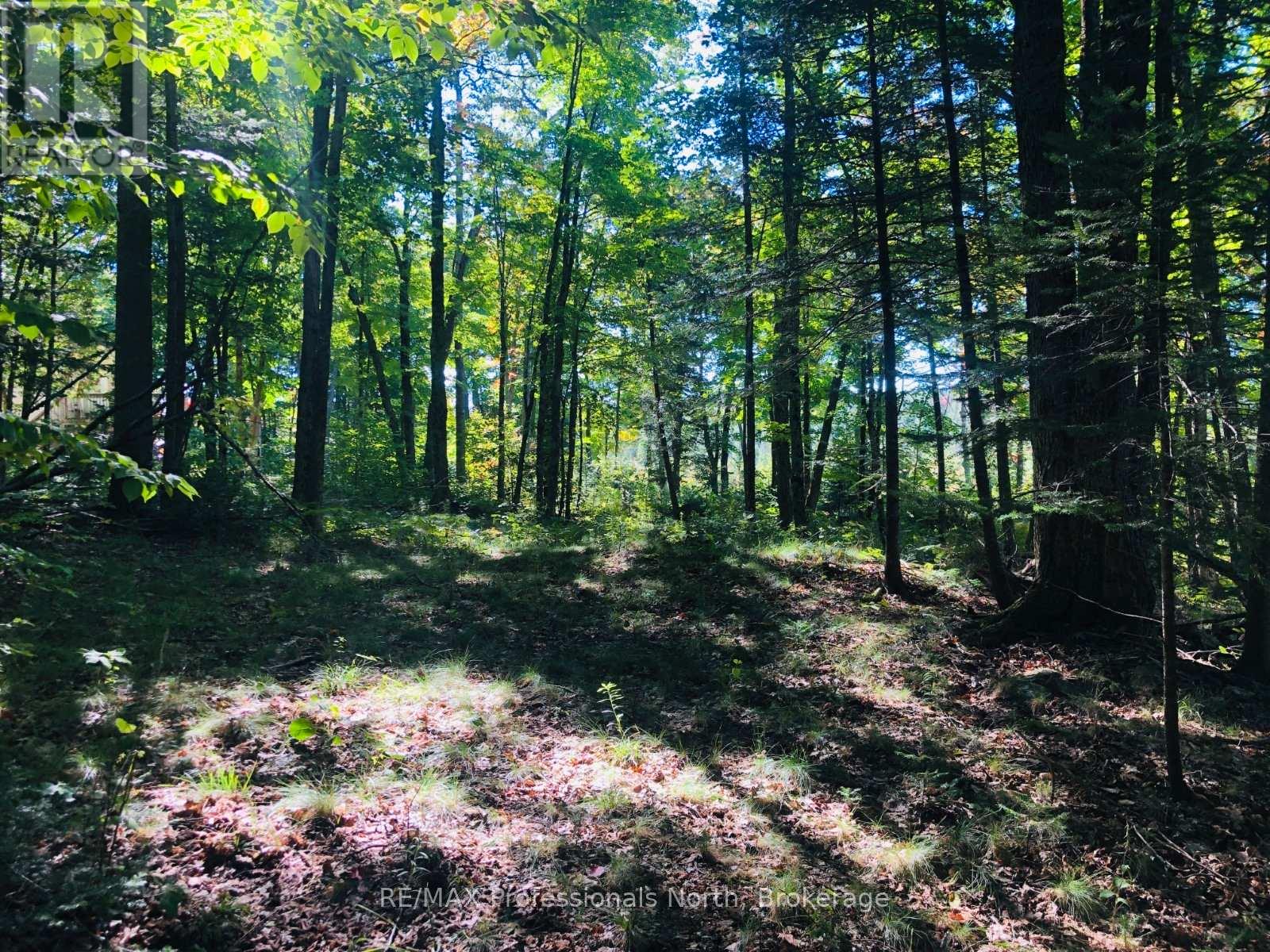 0 Glamor Lake Road, Highlands East, Ontario  K0M 1R0 - Photo 13 - X13020150