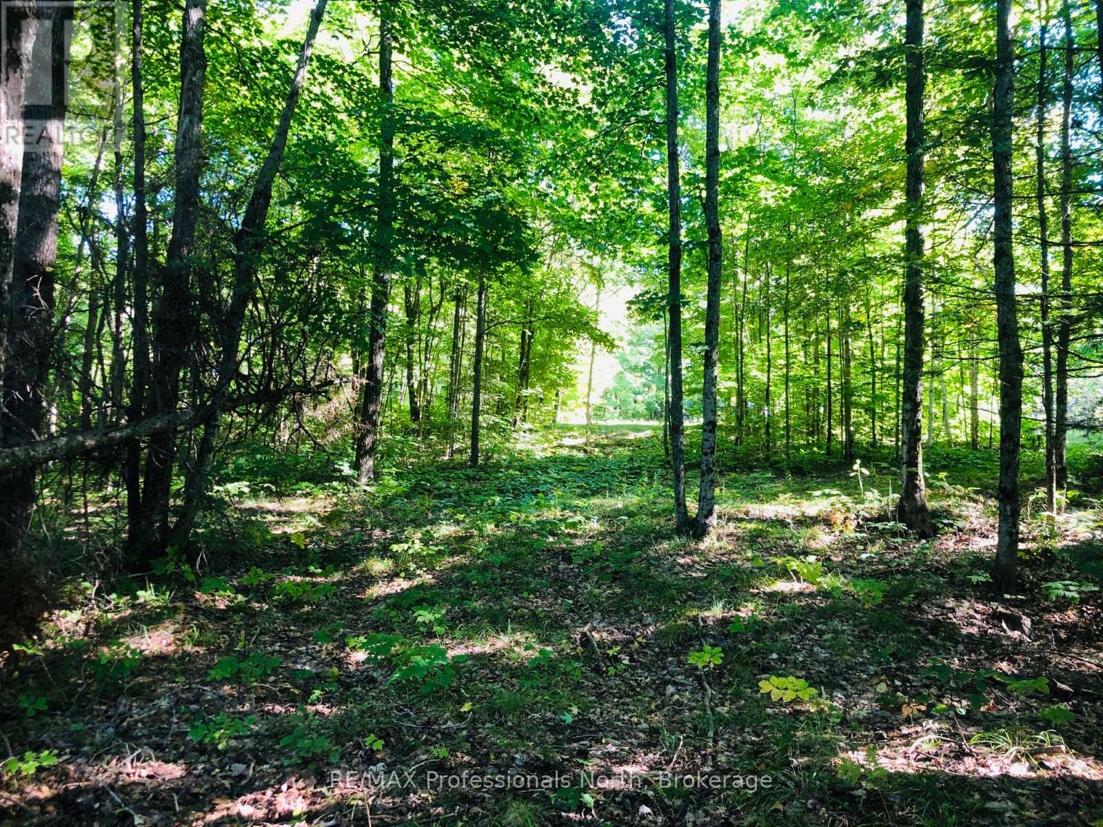 0 Glamor Lake Road, Highlands East, Ontario  K0M 1R0 - Photo 14 - X13020150