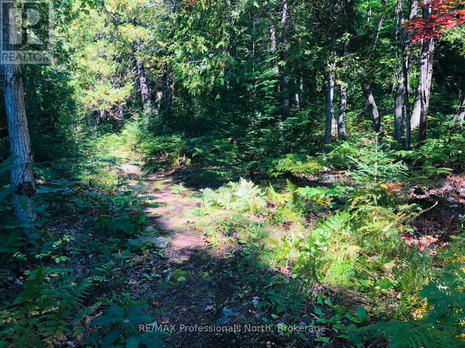 0 Glamor Lake Road, Highlands East, Ontario  K0M 1R0 - Photo 15 - X13020150