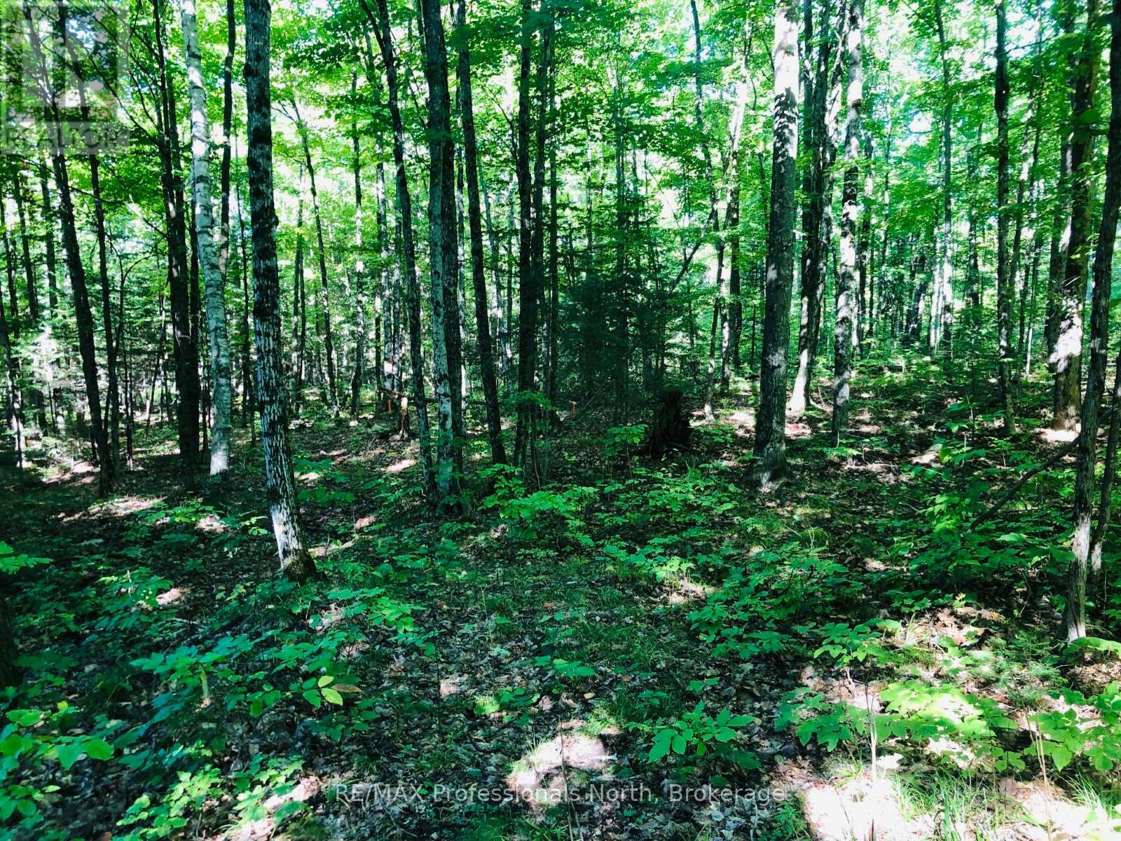 0 Glamor Lake Road, Highlands East, Ontario  K0M 1R0 - Photo 16 - X13020150