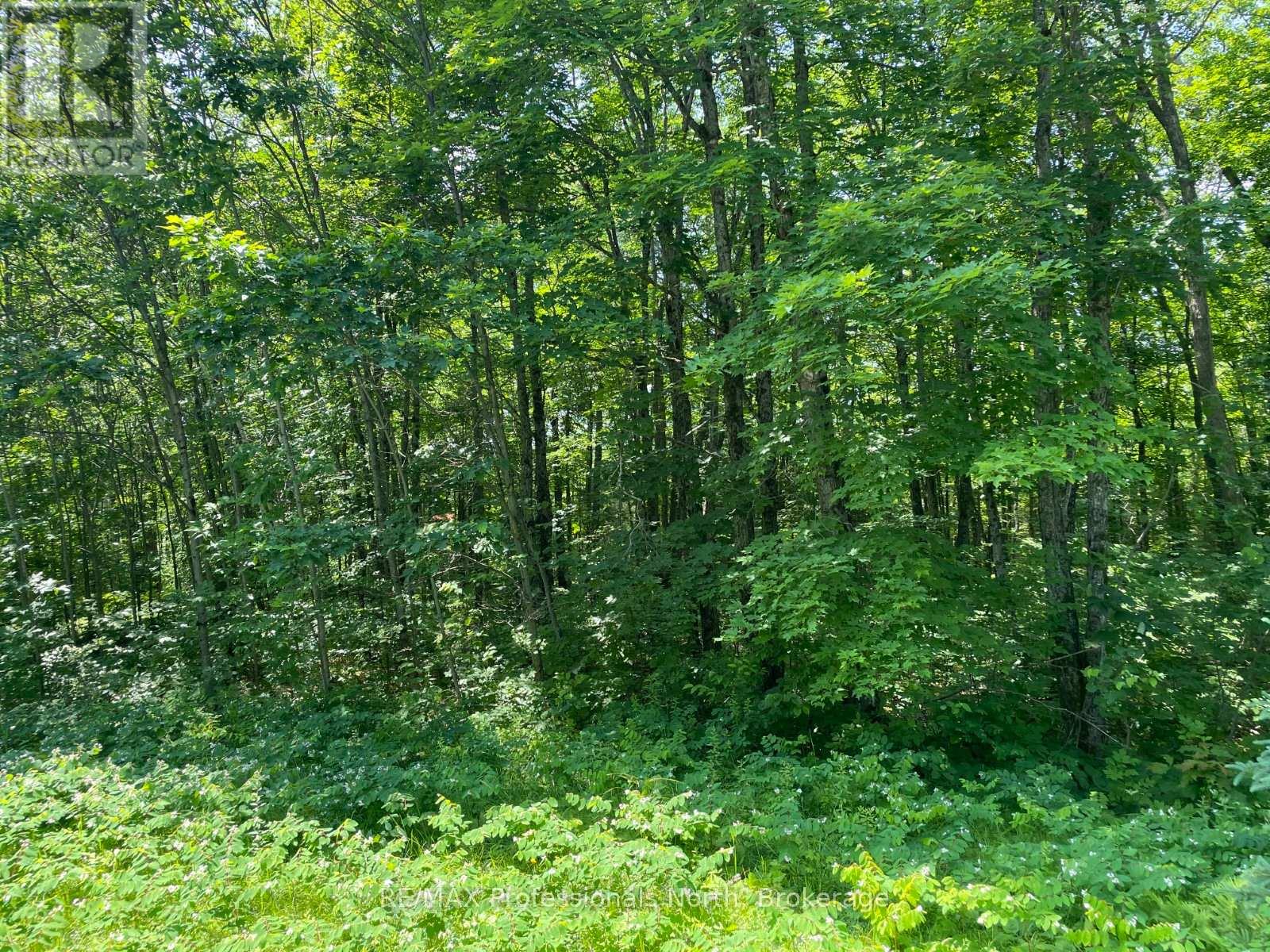 0 Glamor Lake Road, Highlands East, Ontario  K0M 1R0 - Photo 3 - X13020150