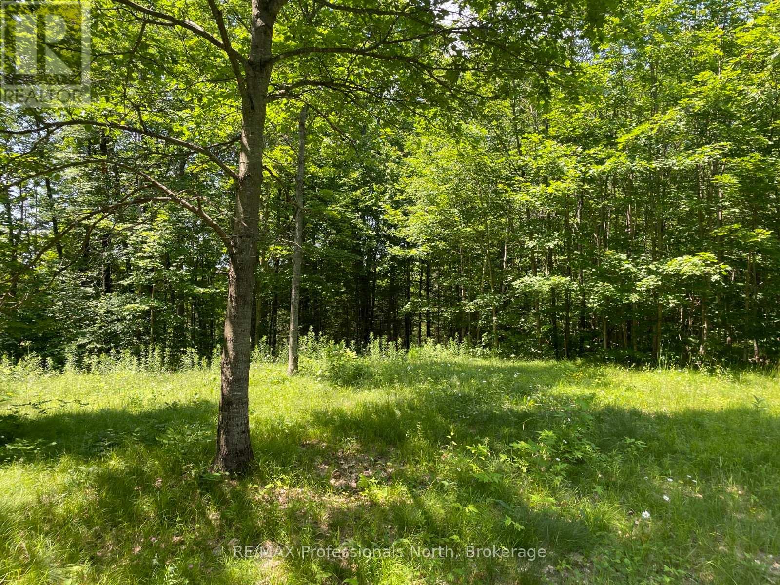 0 Glamor Lake Road, Highlands East, Ontario  K0M 1R0 - Photo 5 - X13020150