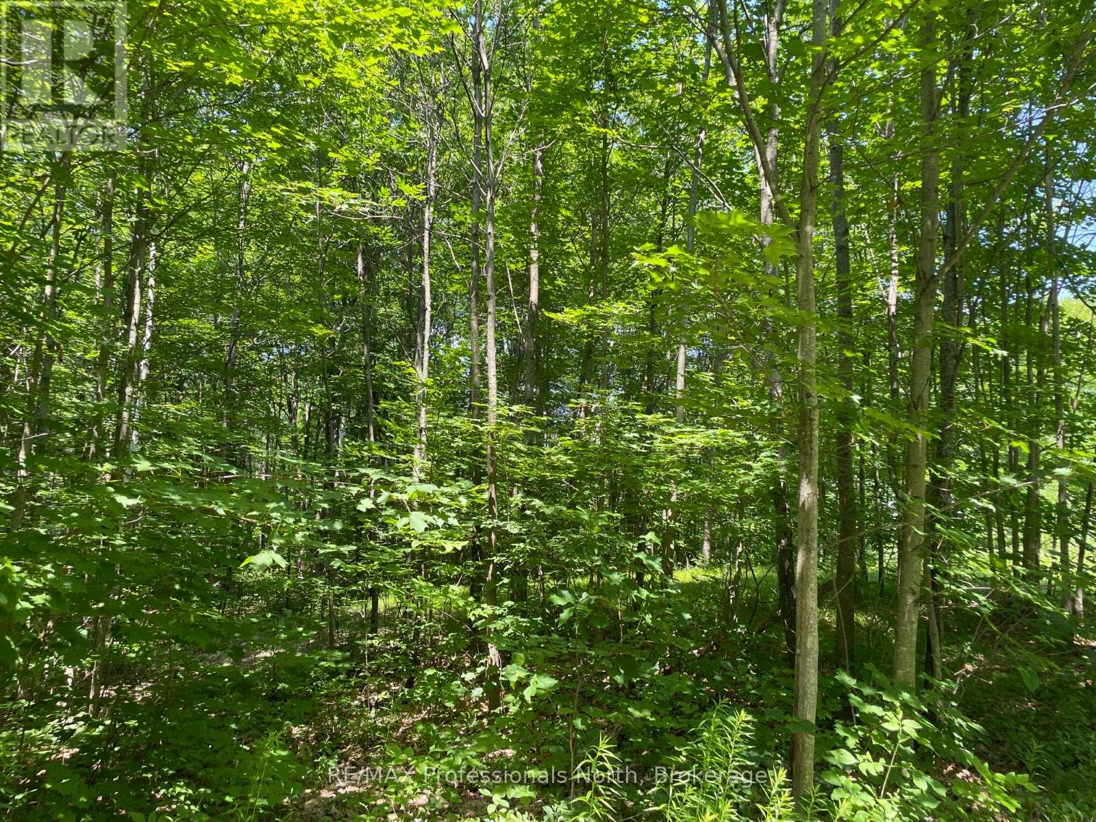 0 Glamor Lake Road, Highlands East, Ontario  K0M 1R0 - Photo 8 - X13020150