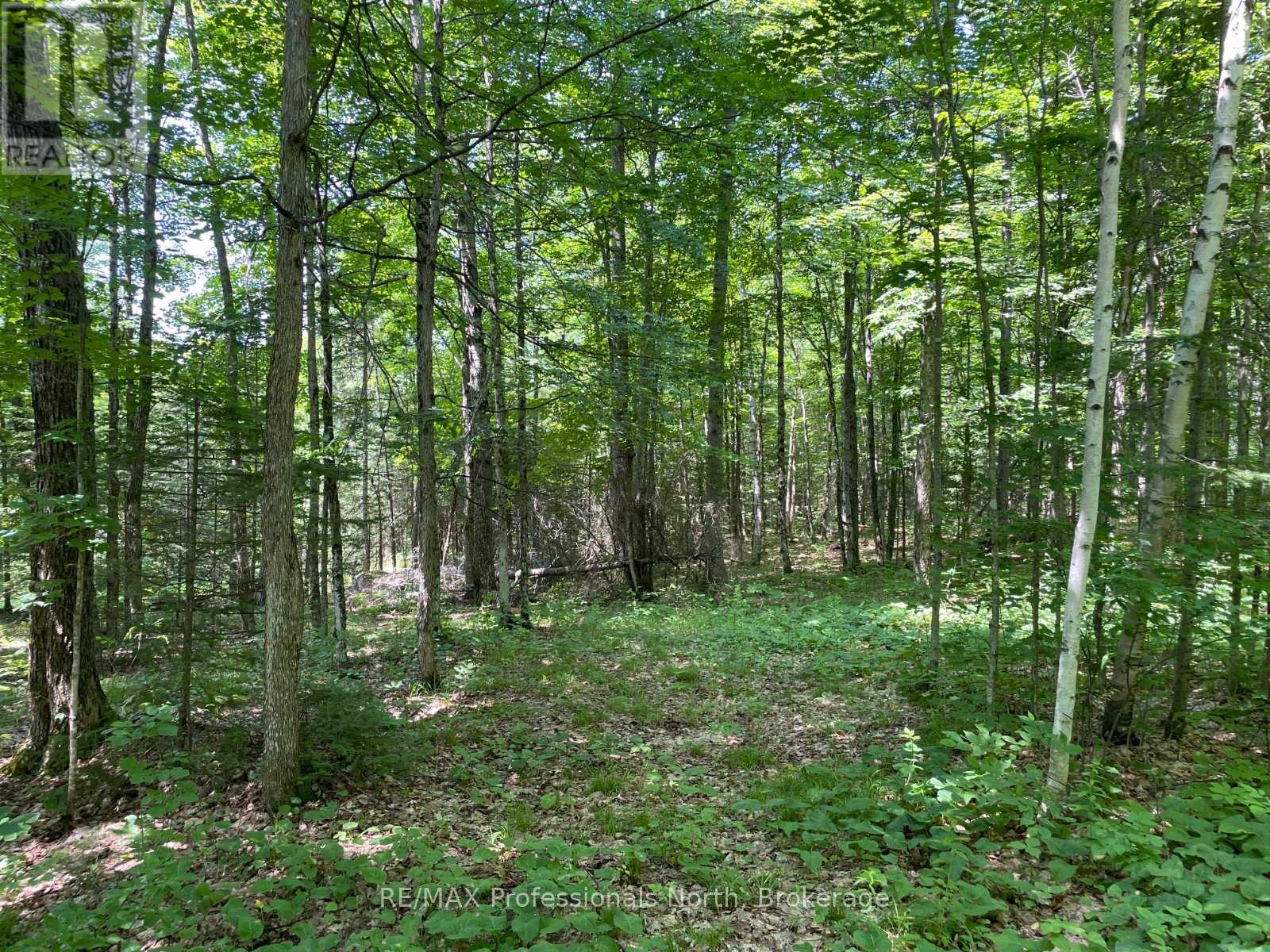 0 Glamor Lake Road, Highlands East, Ontario  K0M 1R0 - Photo 9 - X13020150