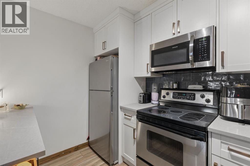 5019 52 Street, Sylvan Lake, Alberta  T4S 1E4 - Photo 38 - A2303454