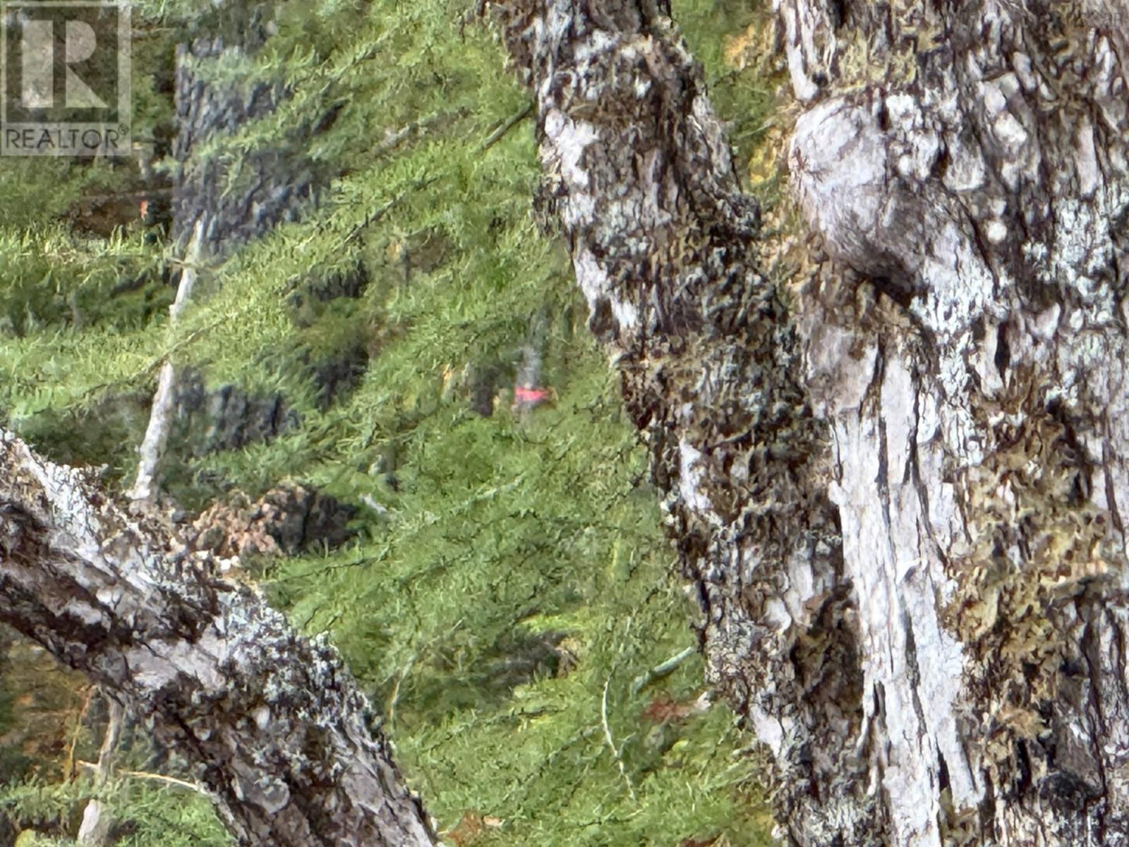 Lot 7 Old Dam Road, Eight Island Lake, Nova Scotia  B1H 1L0 - Photo 19 - 202525762