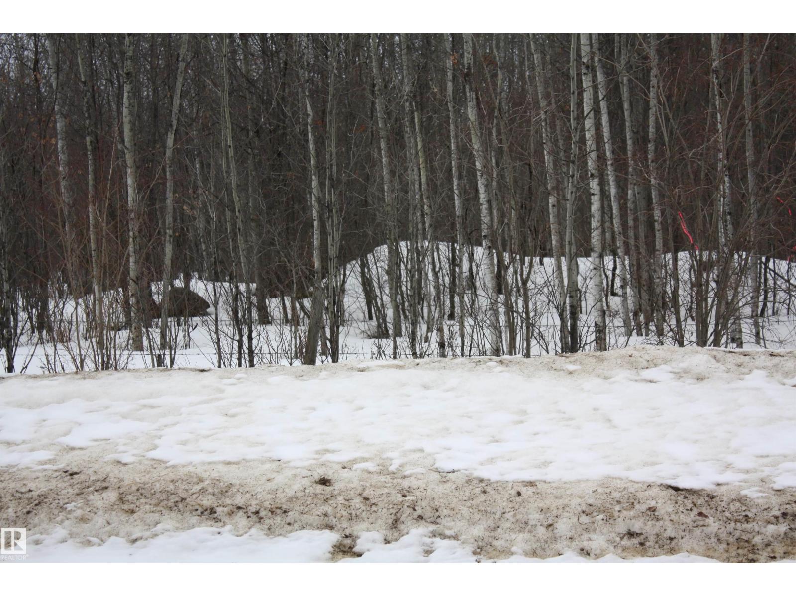 Twp 655 Rr 185, Rural Athabasca County, Alberta  T0A 0M0 - Photo 3 - E4483198