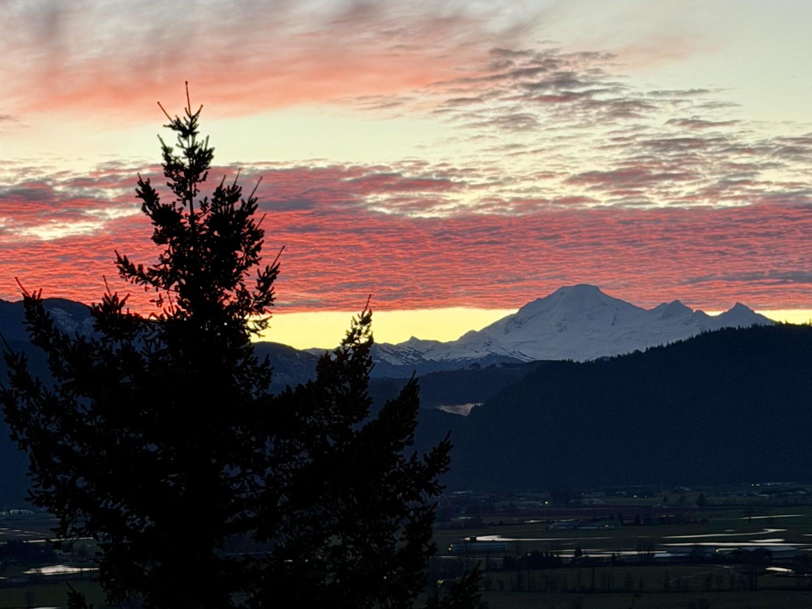 35993 Eaglecrest Place, Abbotsford, British Columbia  V3G 1E7 - Photo 4 - R3086377