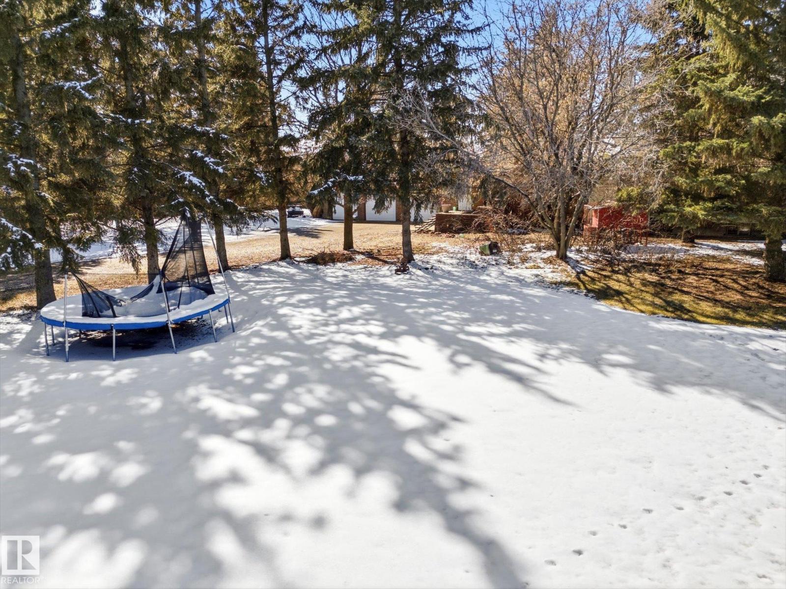 25750 18 St Nw, Edmonton, Alberta  T5Y 6B5 - Photo 12 - E4483212