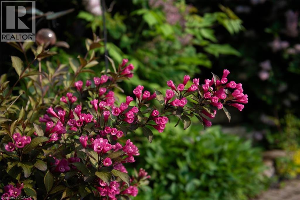 2338 Norland Drive, Burlington, Ontario  L7L 7E6 - Photo 47 - 40822423