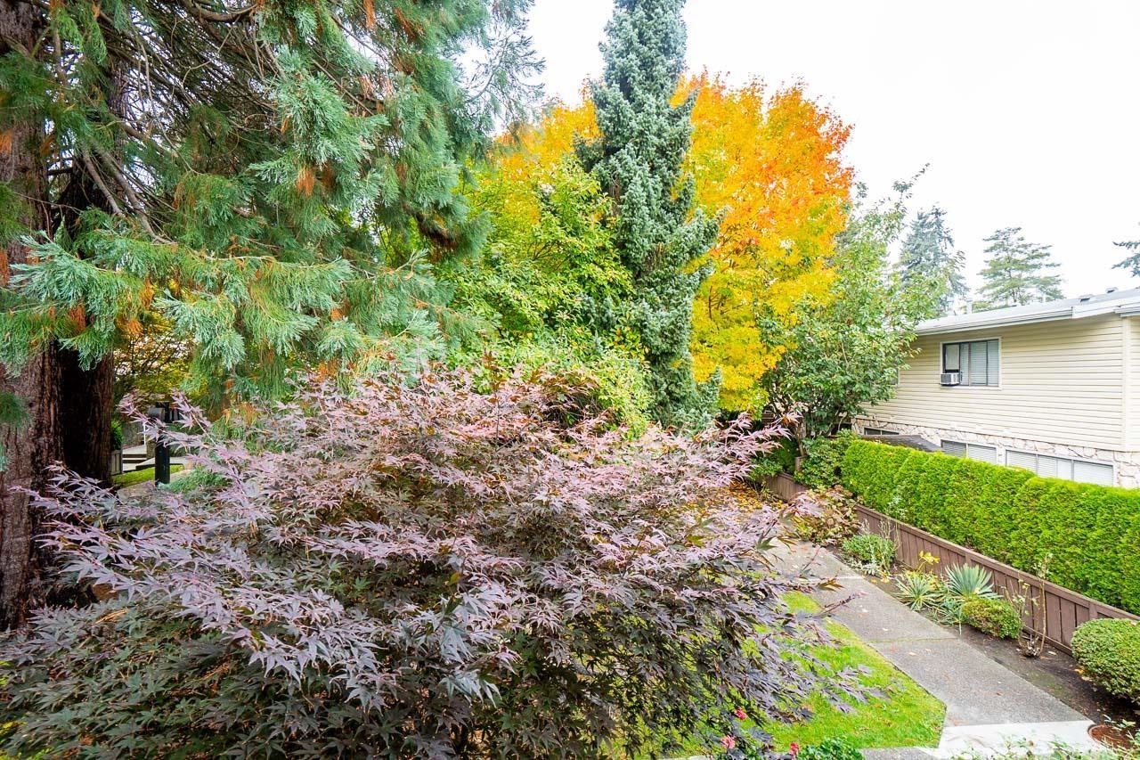 49 9378 122 Street, Surrey, British Columbia  V3V 4L6 - Photo 18 - R3113208