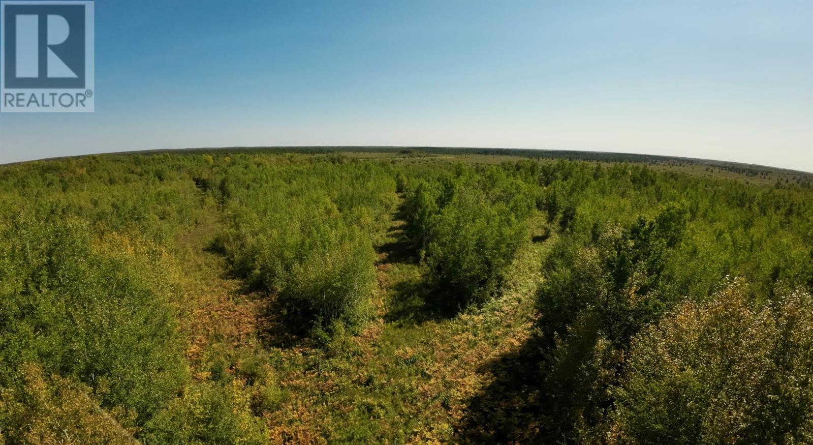 Pcl 46-3 Government Rd, Rainy River, Ontario  P0W 1L0 - Photo 10 - TB2600745