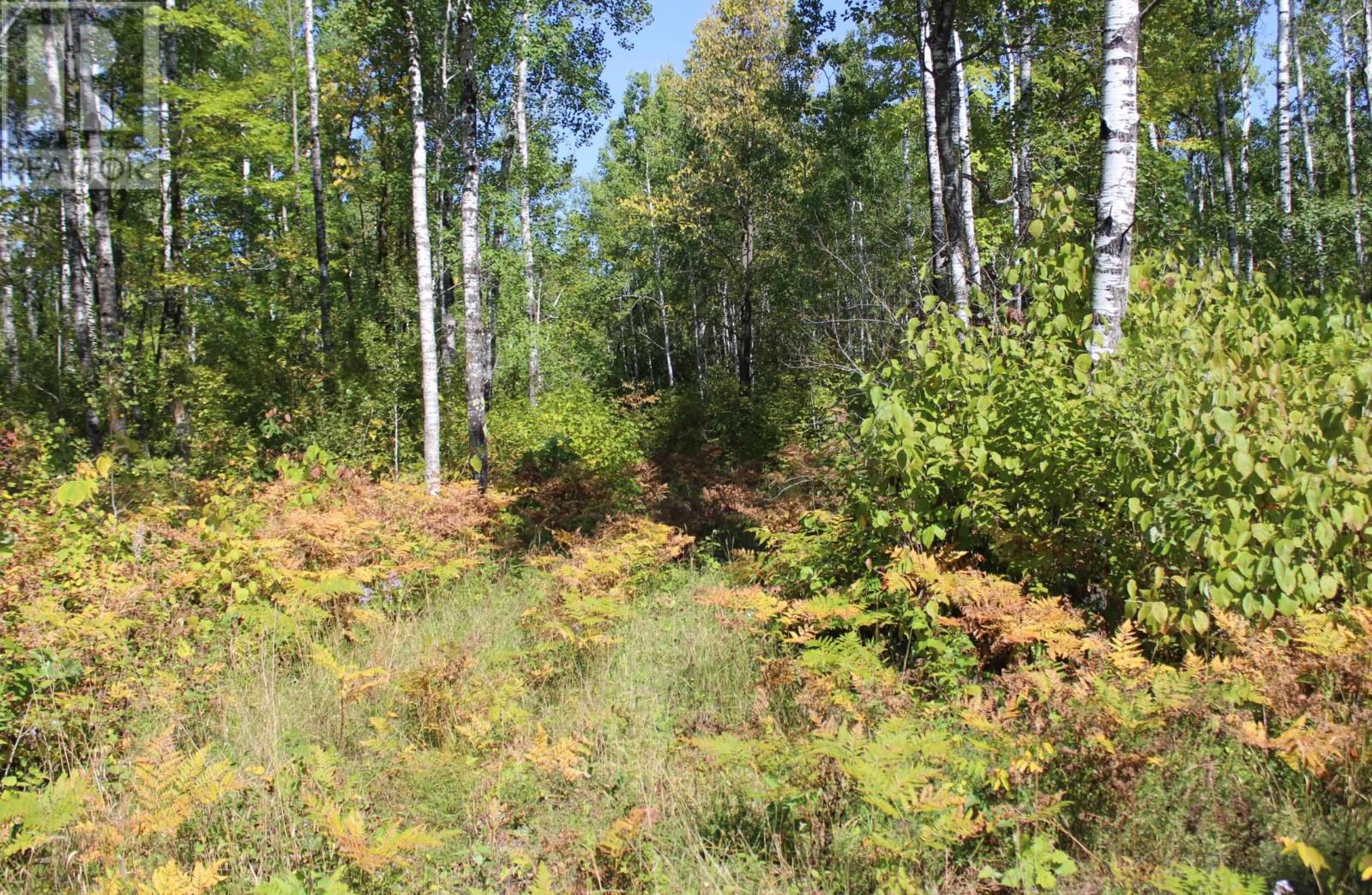 Pcl 46-3 Government Rd, Rainy River, Ontario  P0W 1L0 - Photo 19 - TB2600745