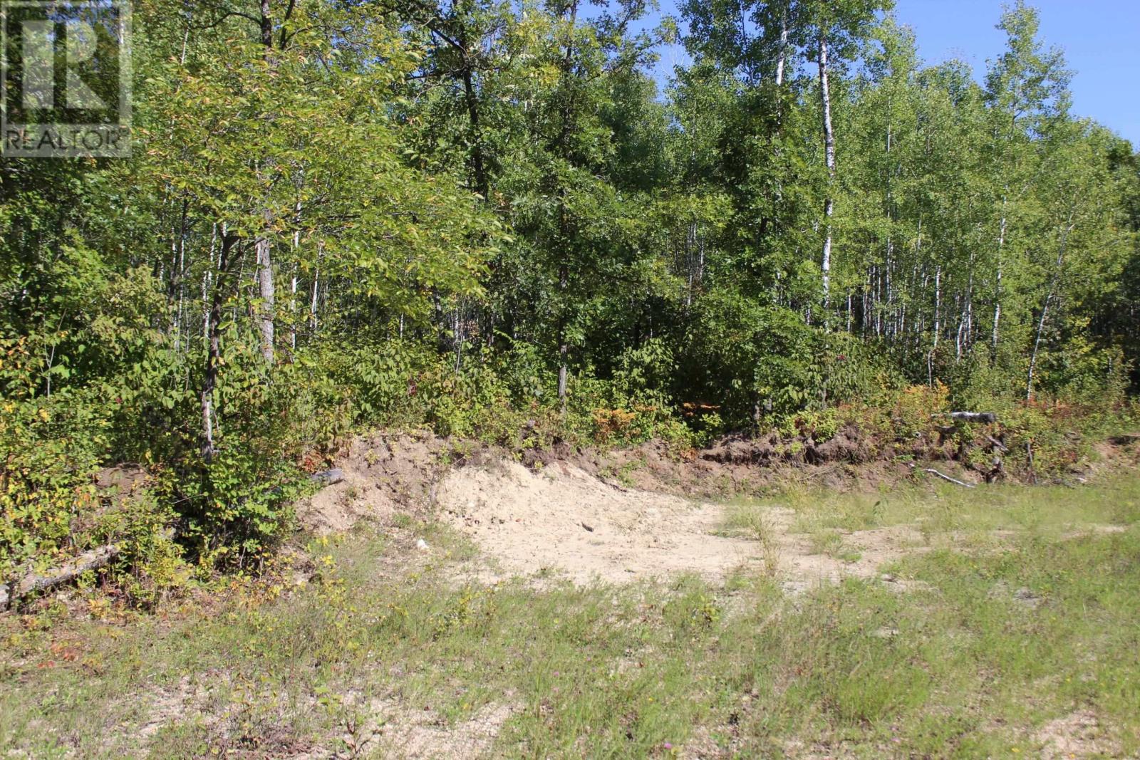 Pcl 46-3 Government Rd, Rainy River, Ontario  P0W 1L0 - Photo 22 - TB2600745